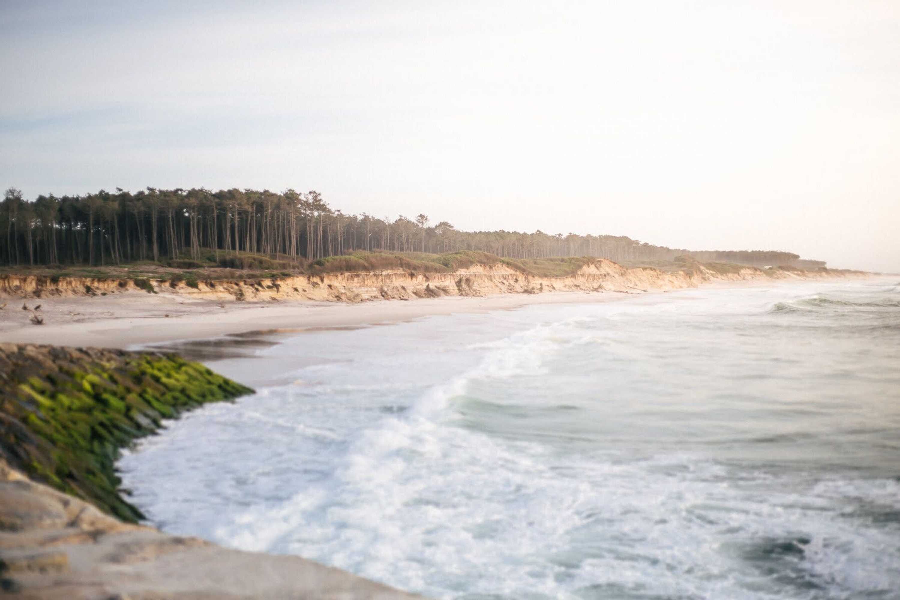 Gift card for Oporto Surflodge