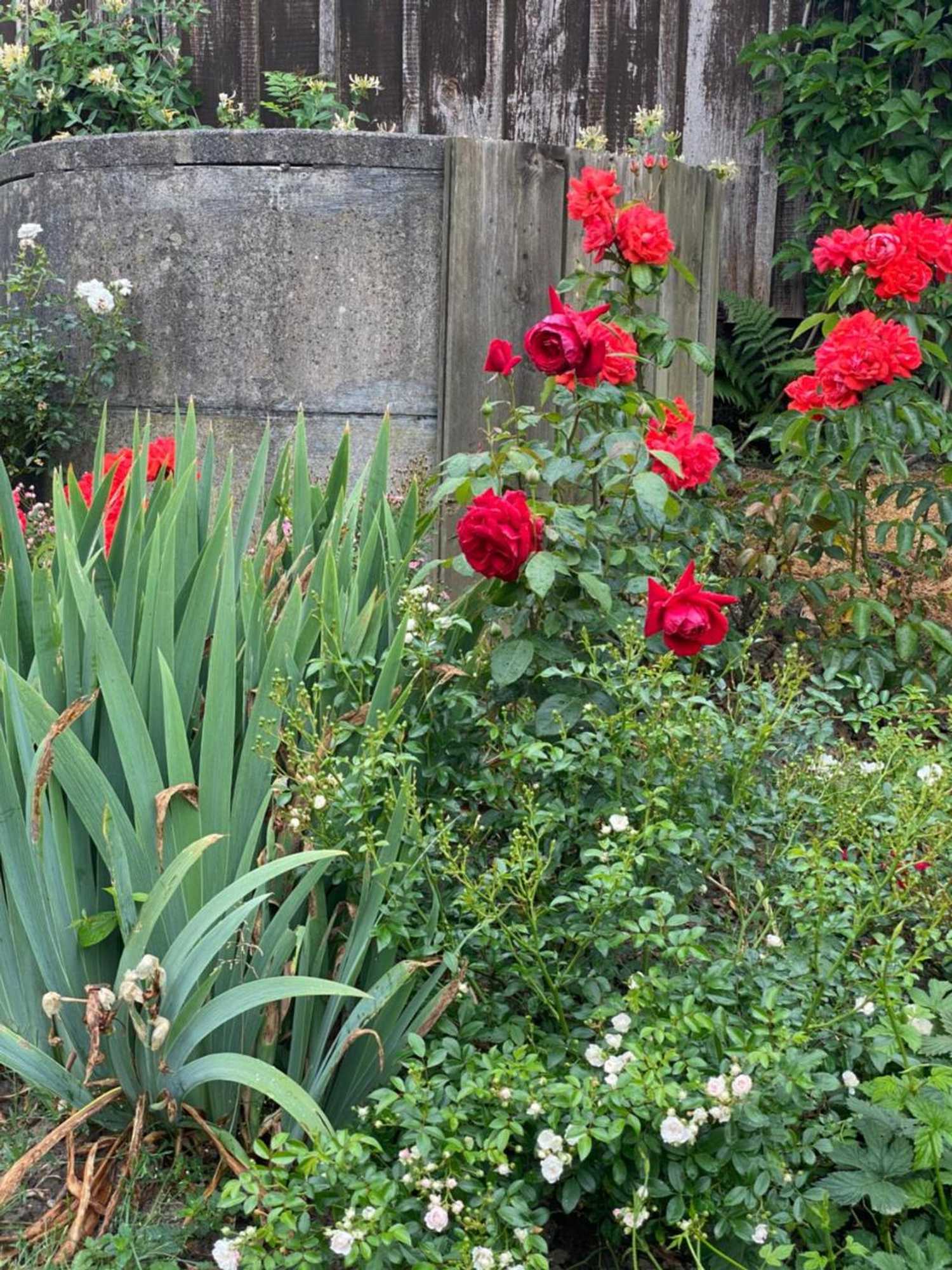 Gift card for B&b Tannen124