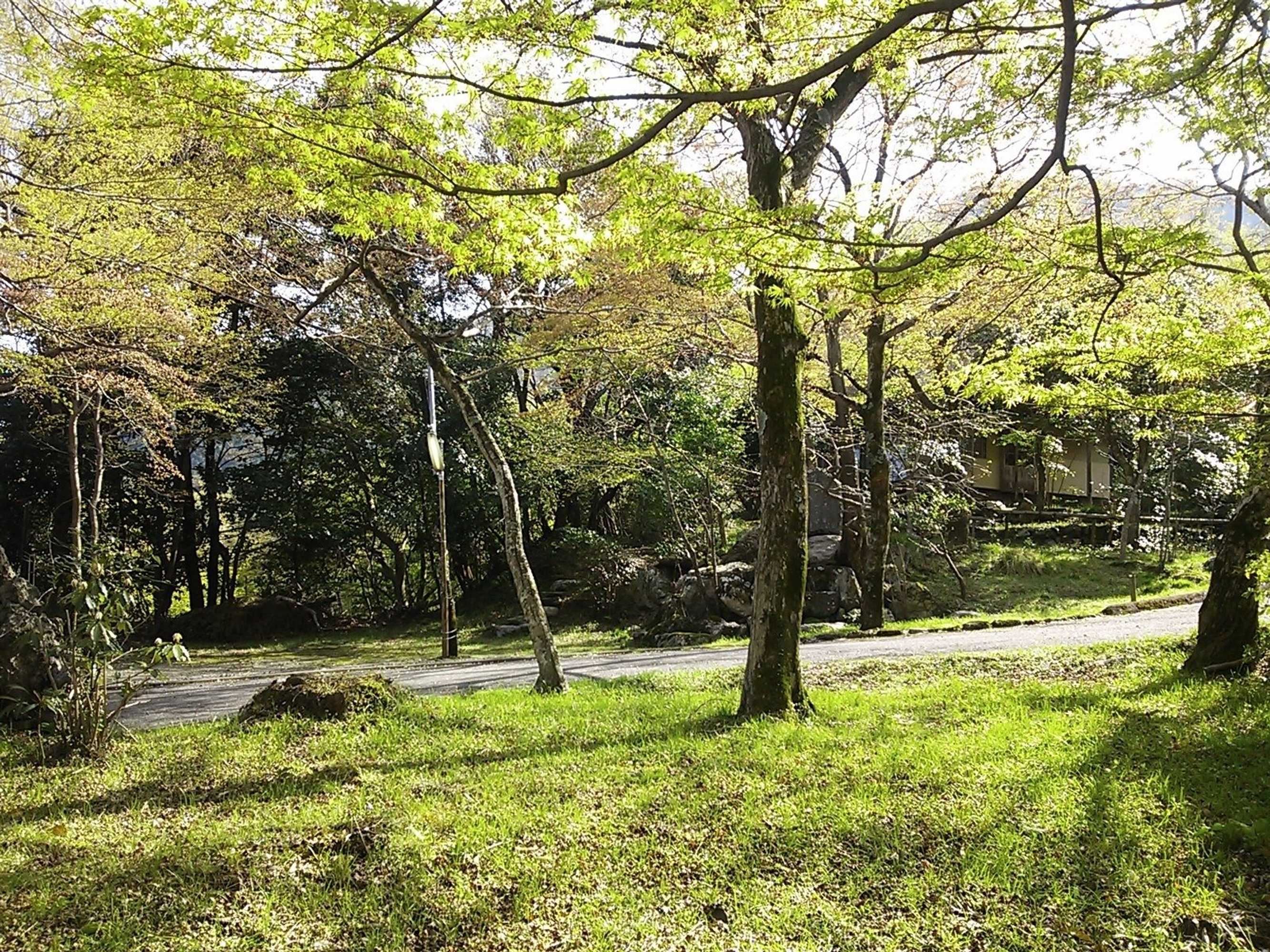 Gift card for Cultural Property of Japan Senzairo Gift card for Cultural Property of Japan Senzairo