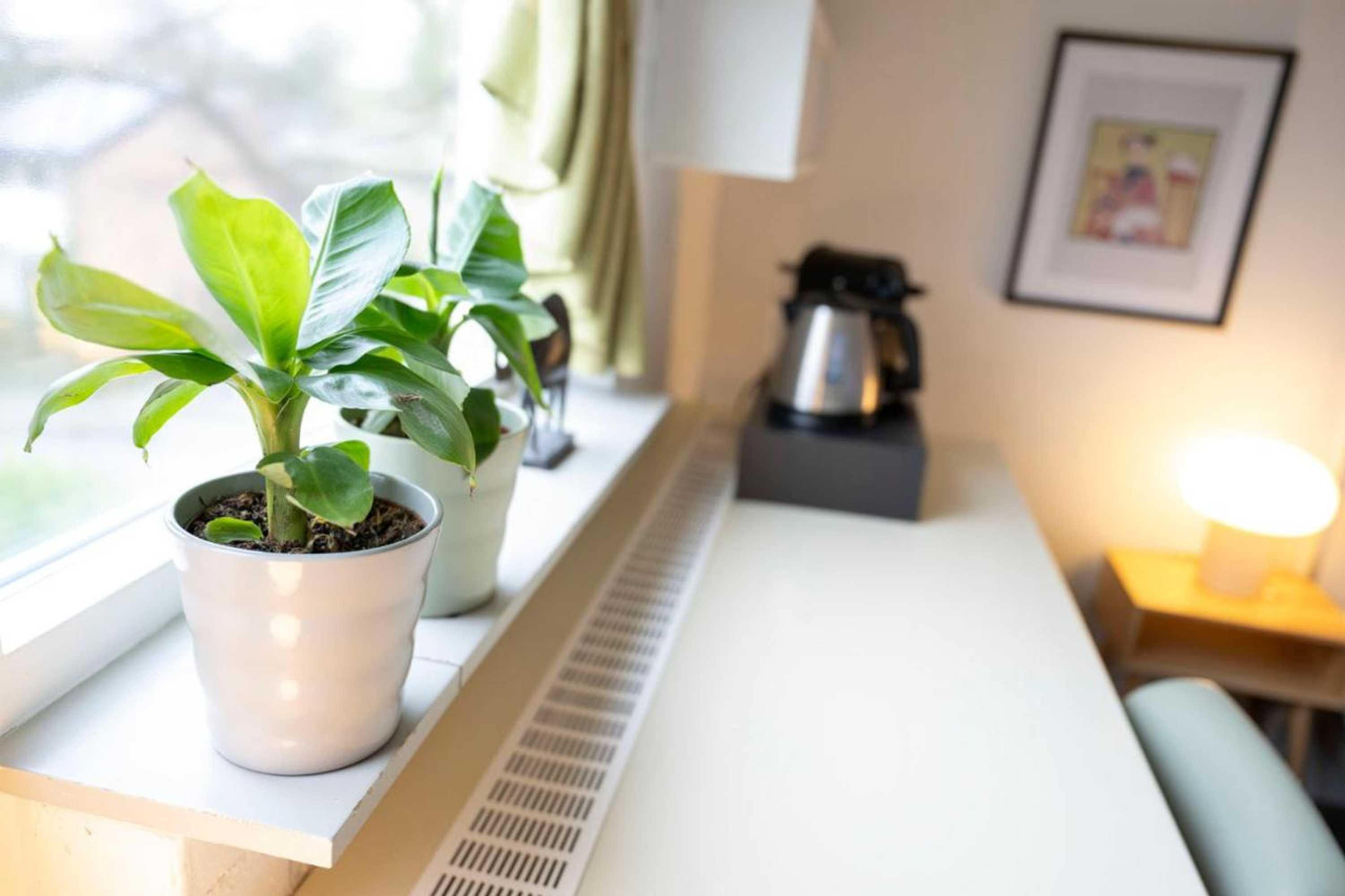 Gift card for B&b De Dream