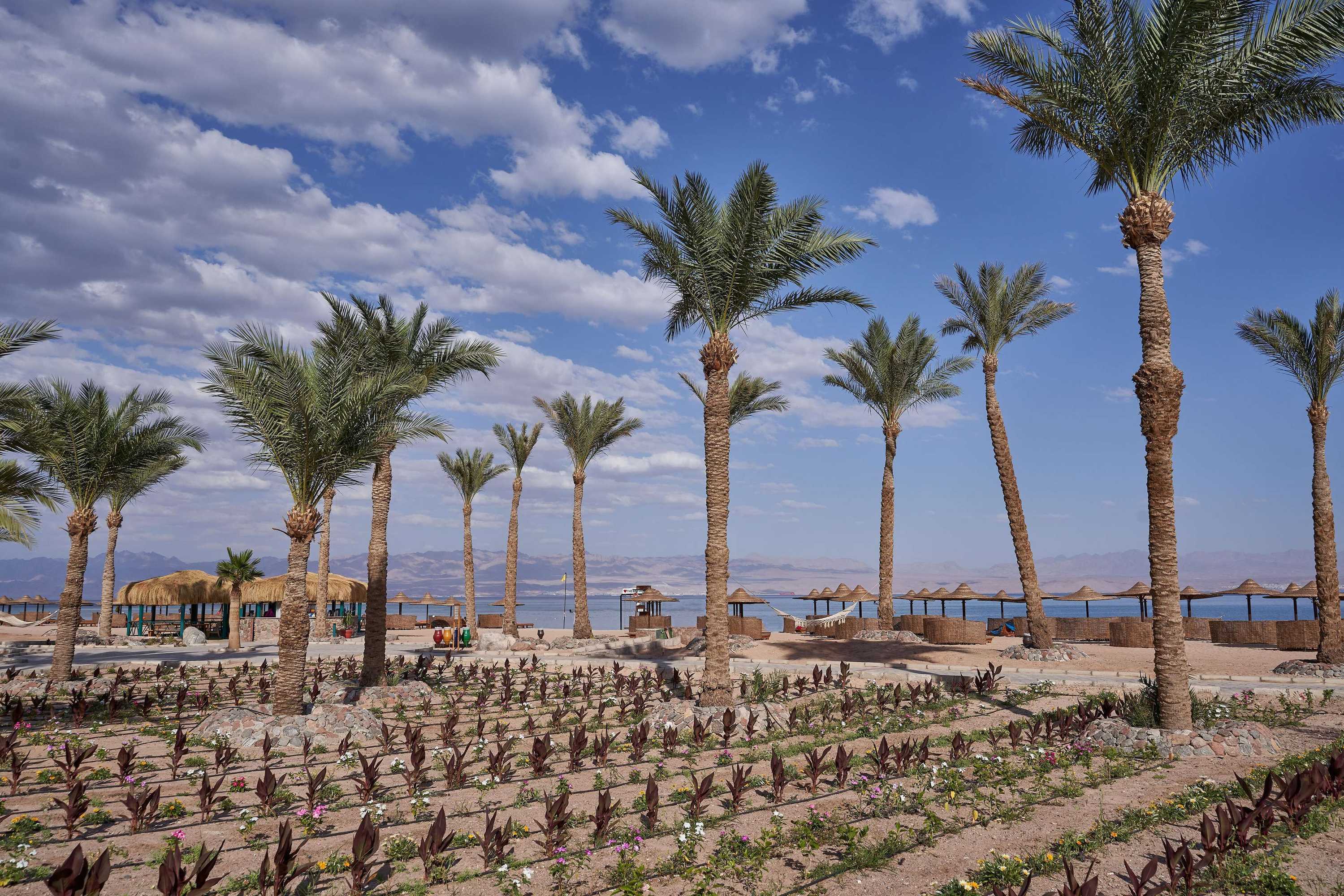 Gift card for Bayview Taba Heights Resort Gift card for Bayview Taba Heights Resort