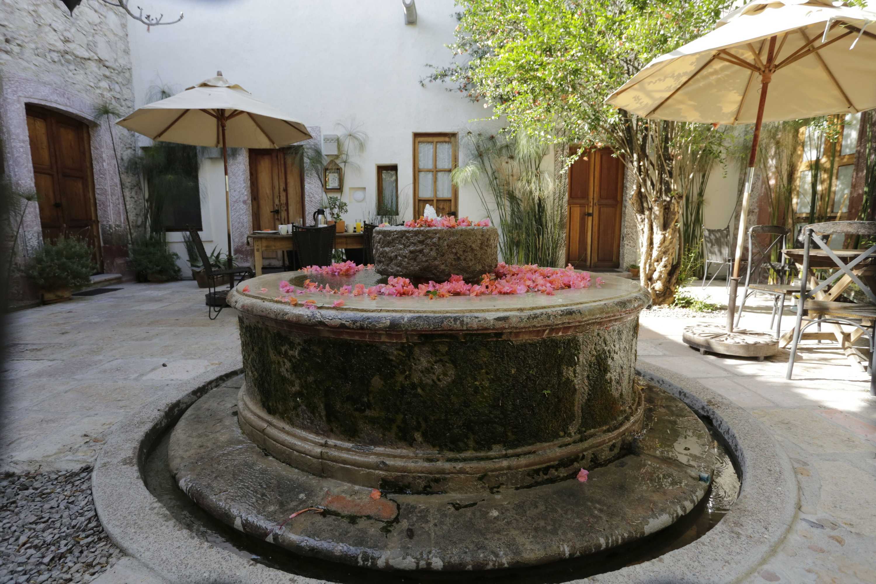 Gift card for Orchid House San Miguel de Allende Gift card for Orchid House San Miguel de Allende