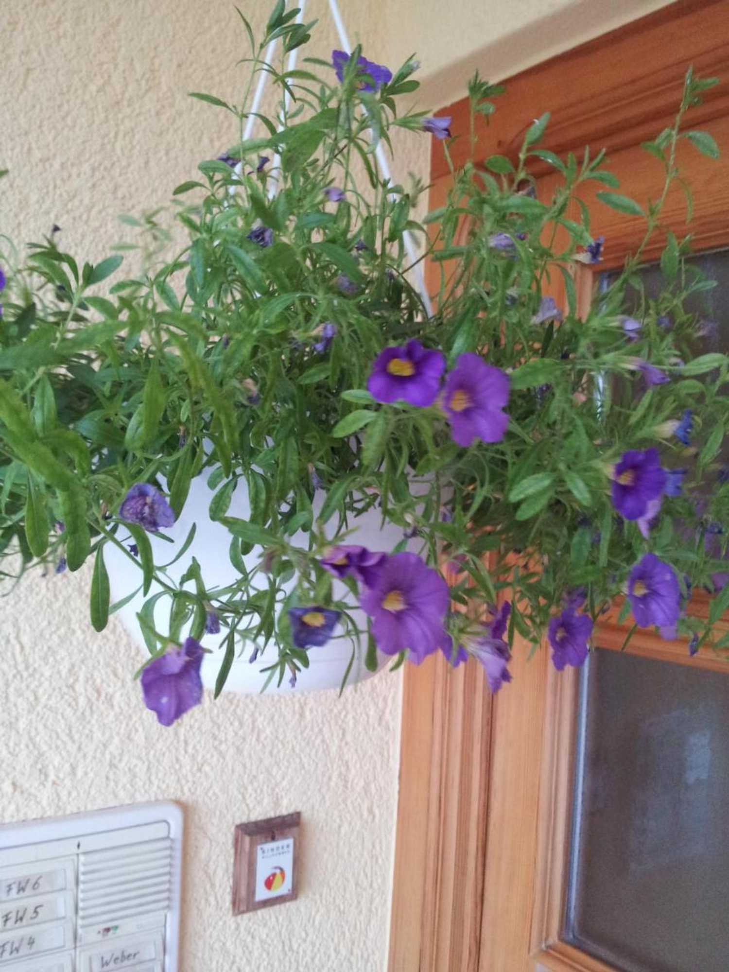 Gift card for Weber Landhaus