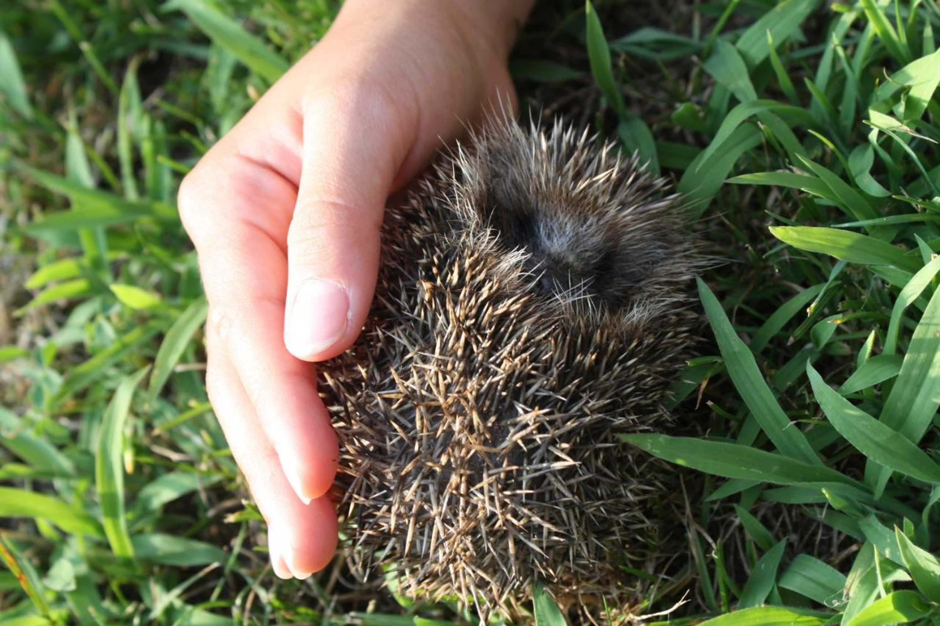 Gift card for No Meio da Natureza - Turismo No Espaco Rural