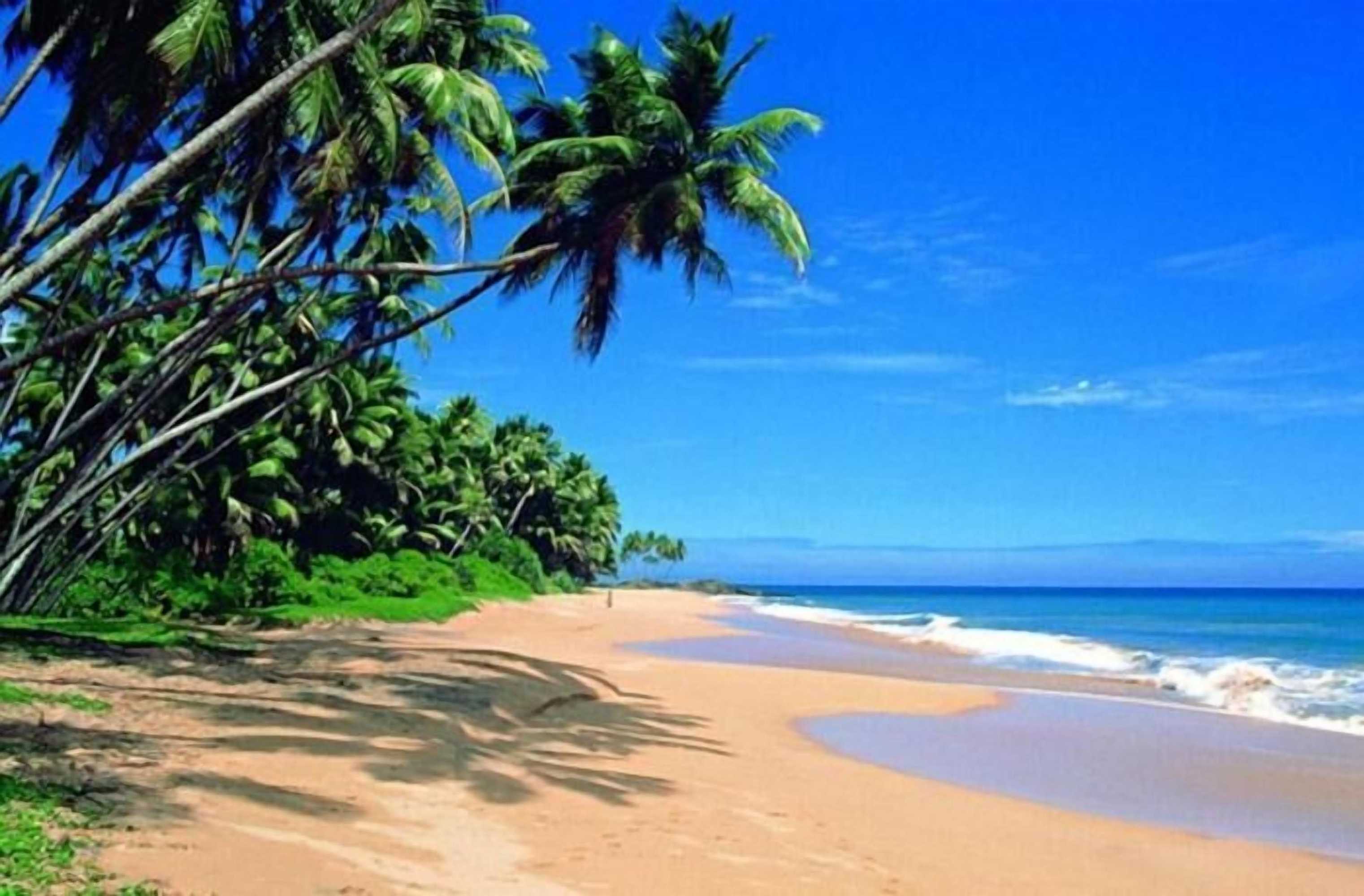 Gift card for Mihilaka Holiday Homes