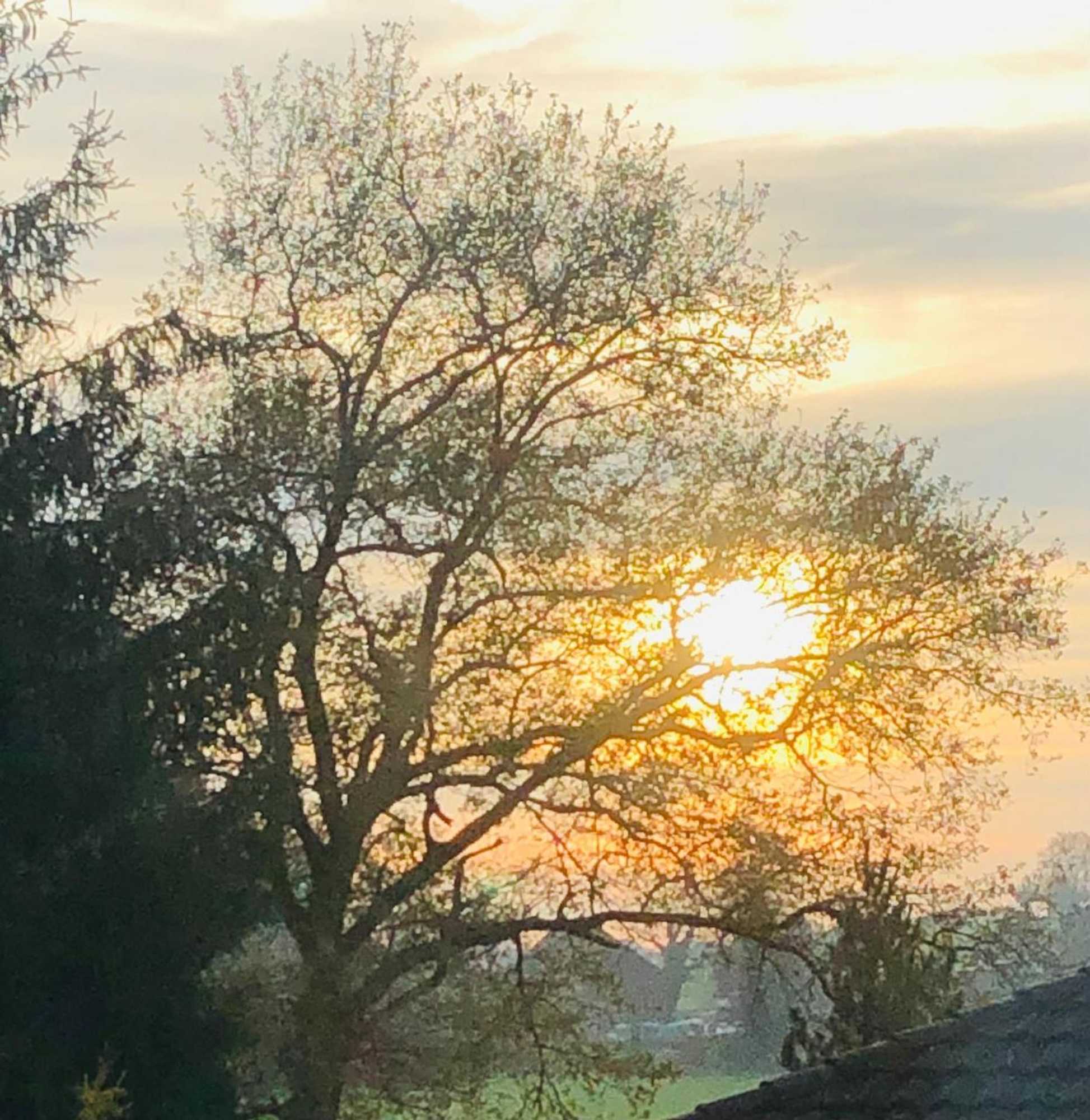 Gift card for Villa Kunterbunt