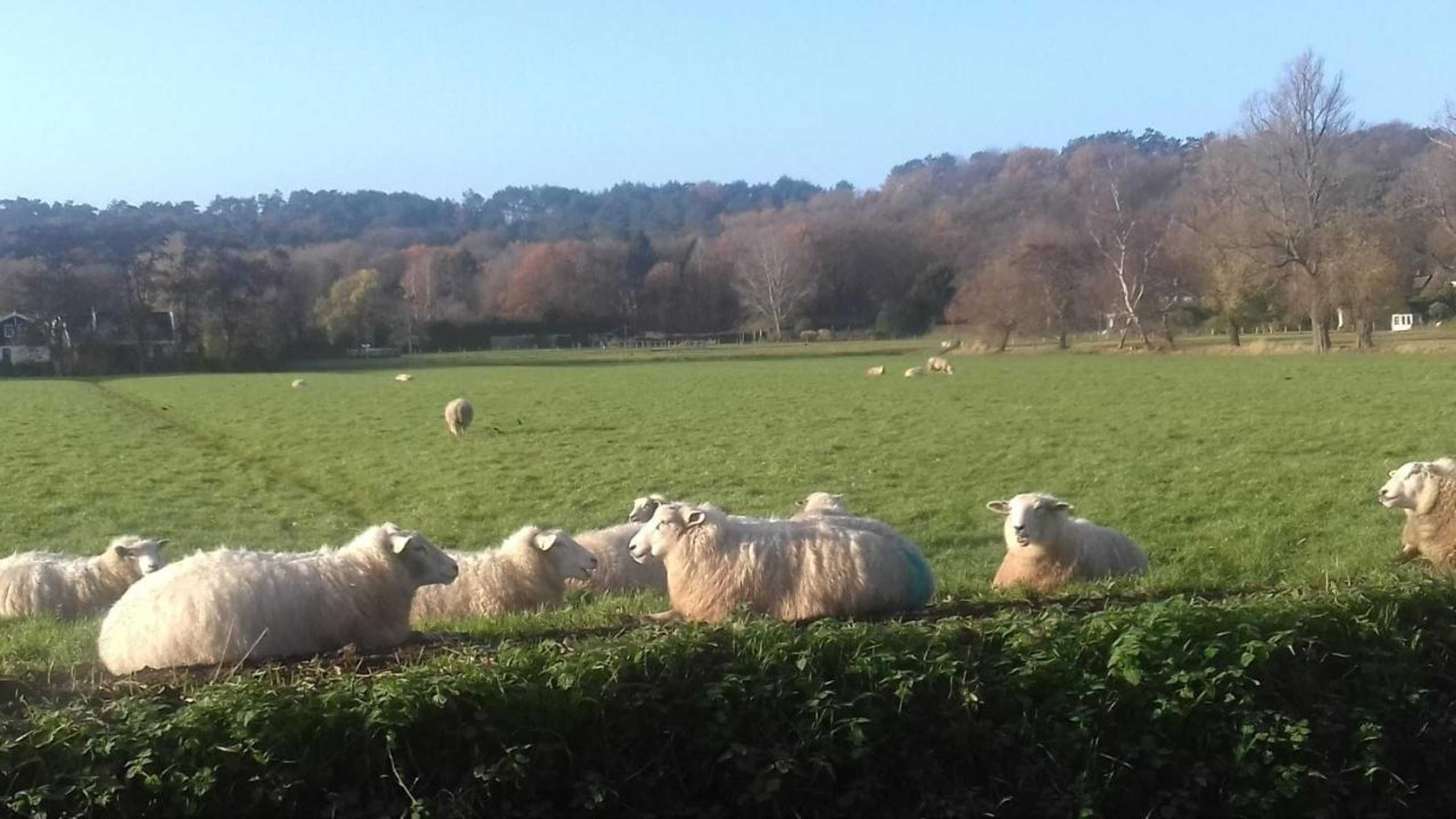 Gift card for Ecolodge de Parel Schoorl