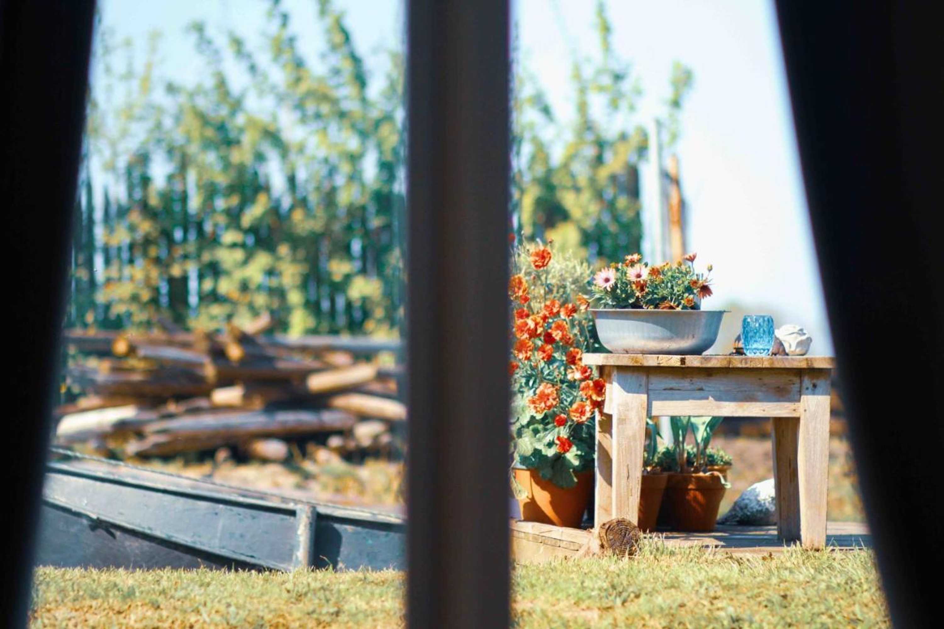 Gift card for Tulpenhuys