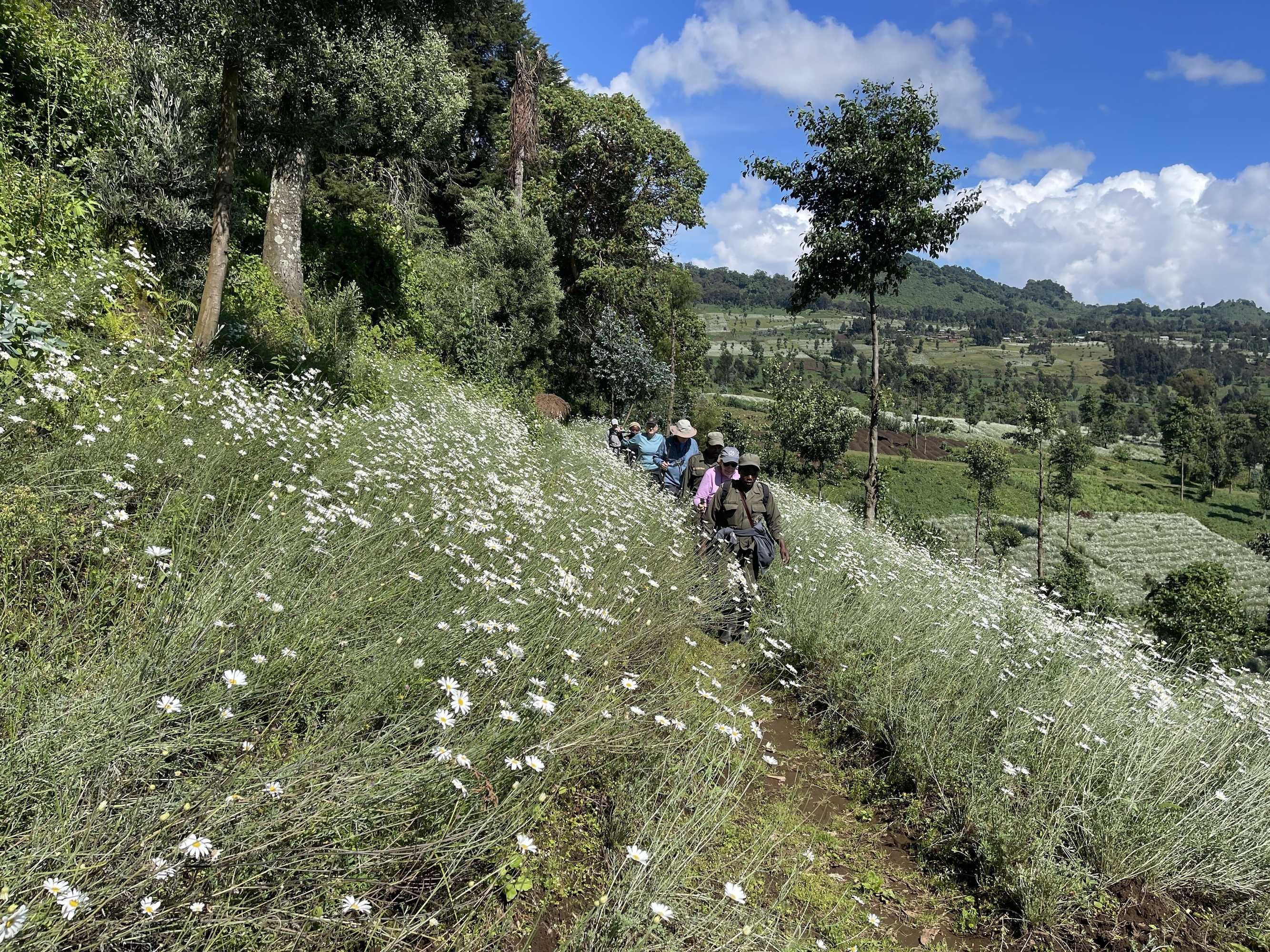 Gift card for Virunga Homestay & Campsites