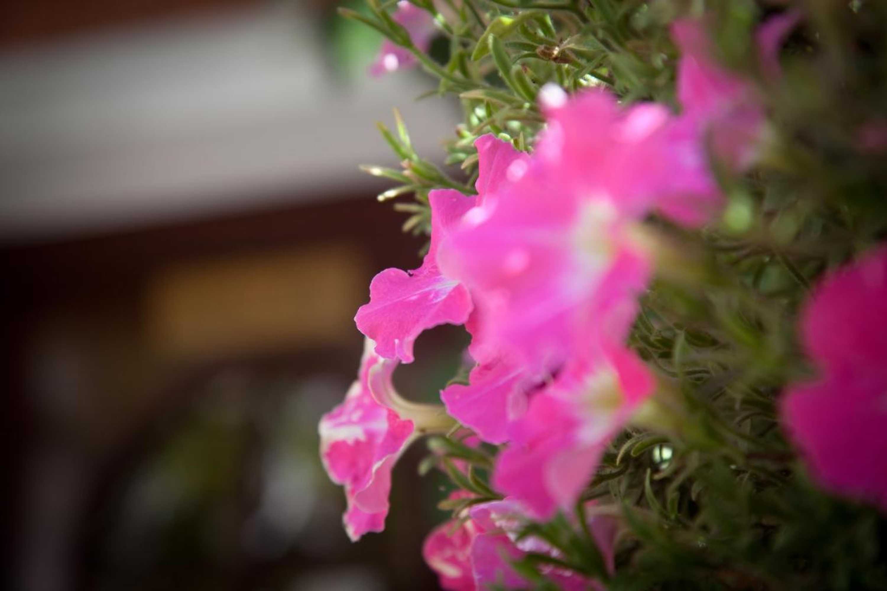 Gift card for Ratskeller Thum