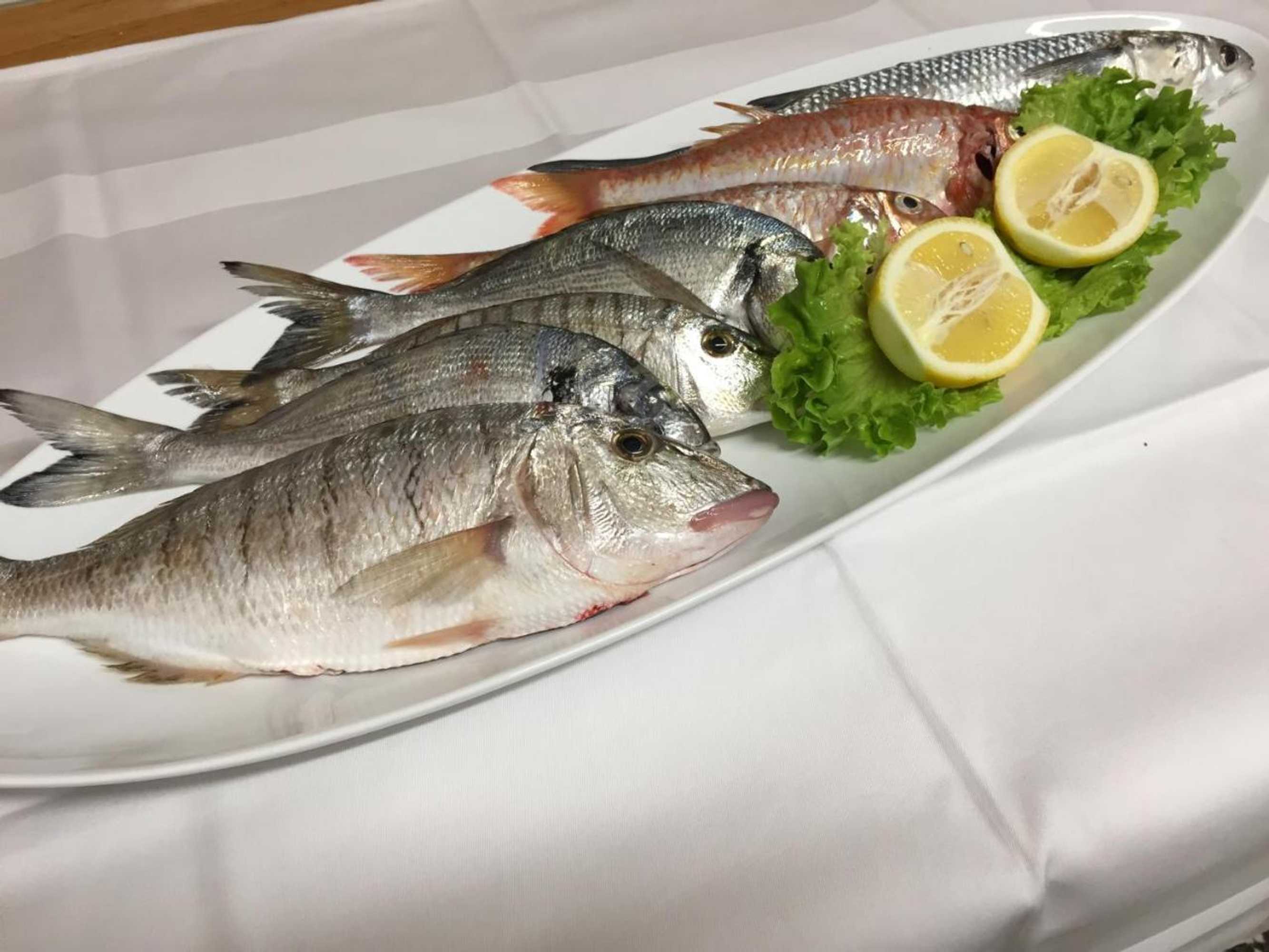 Gift card for Rooms & Pansion Odmor