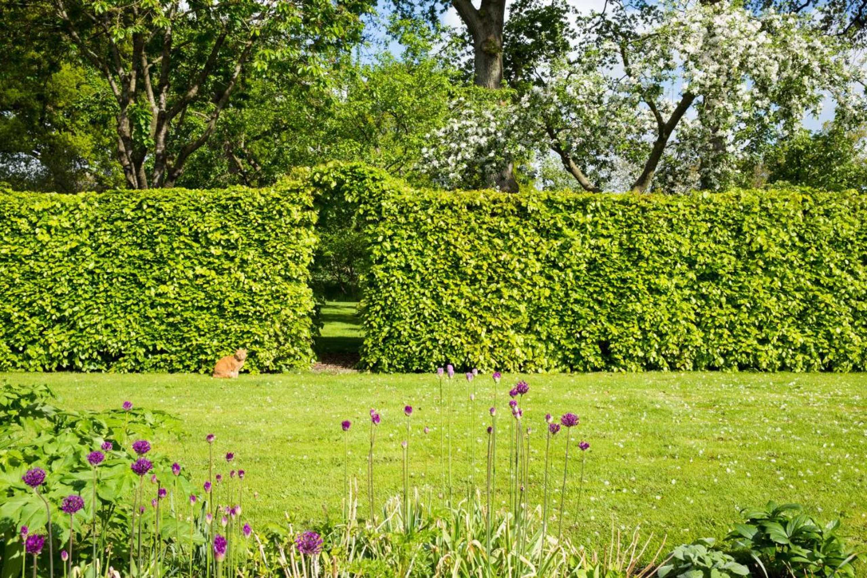 Gift card for Het Schepershoes