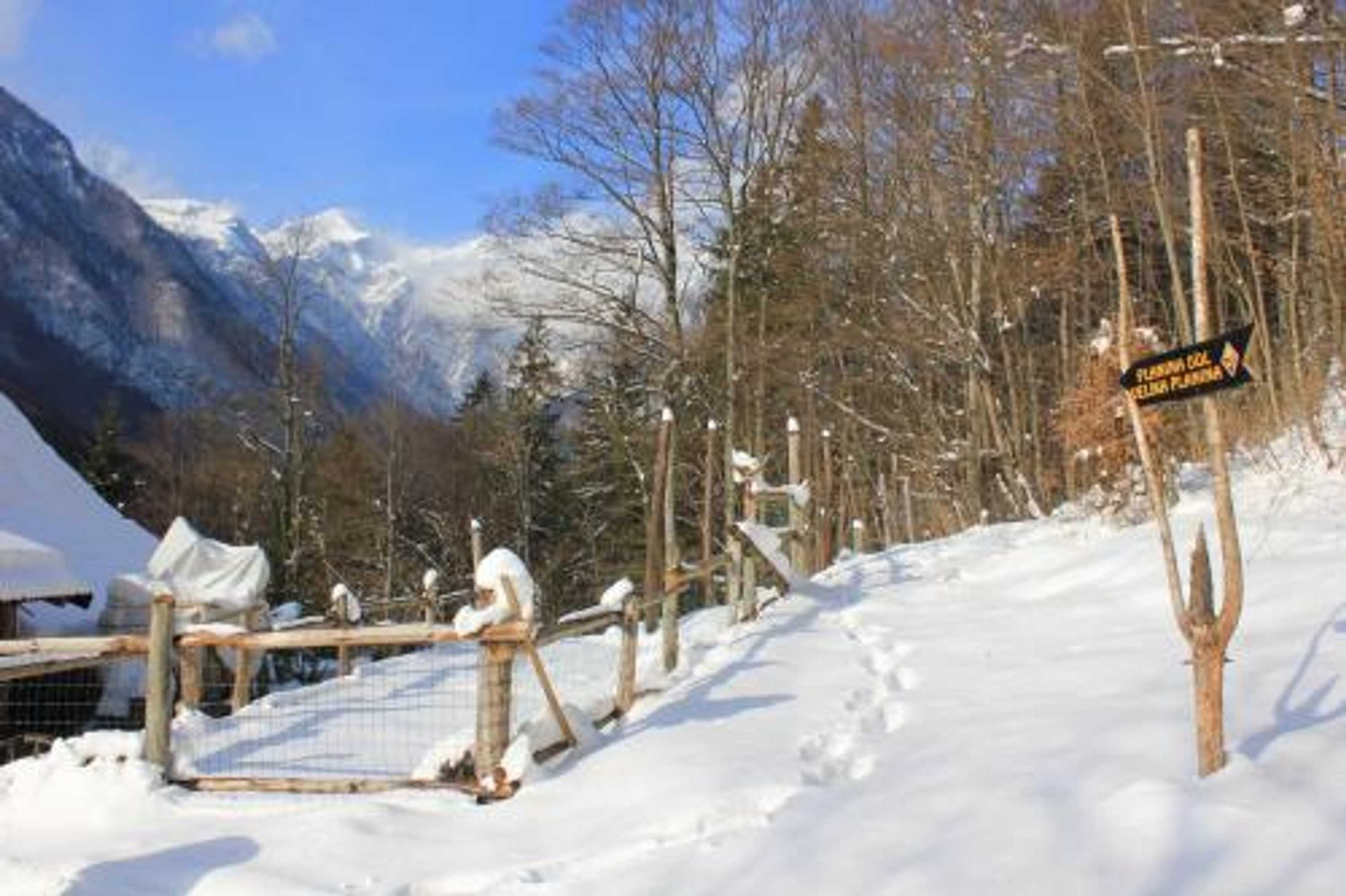 Gift card for Guest House Kraljev Hrib Gift card for Guest House Kraljev Hrib