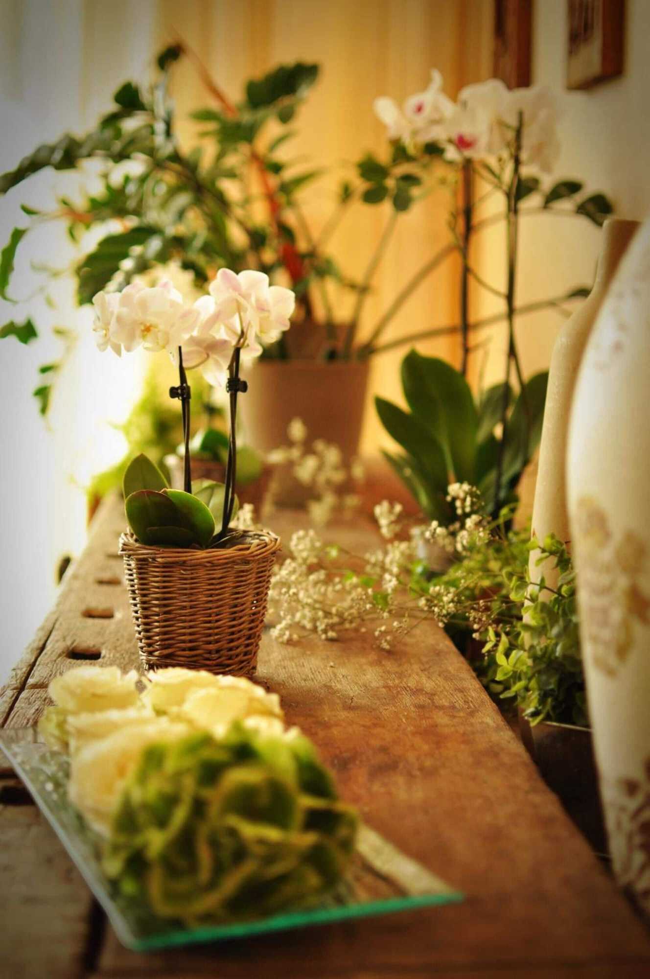 Gift card for Hotel Litjes