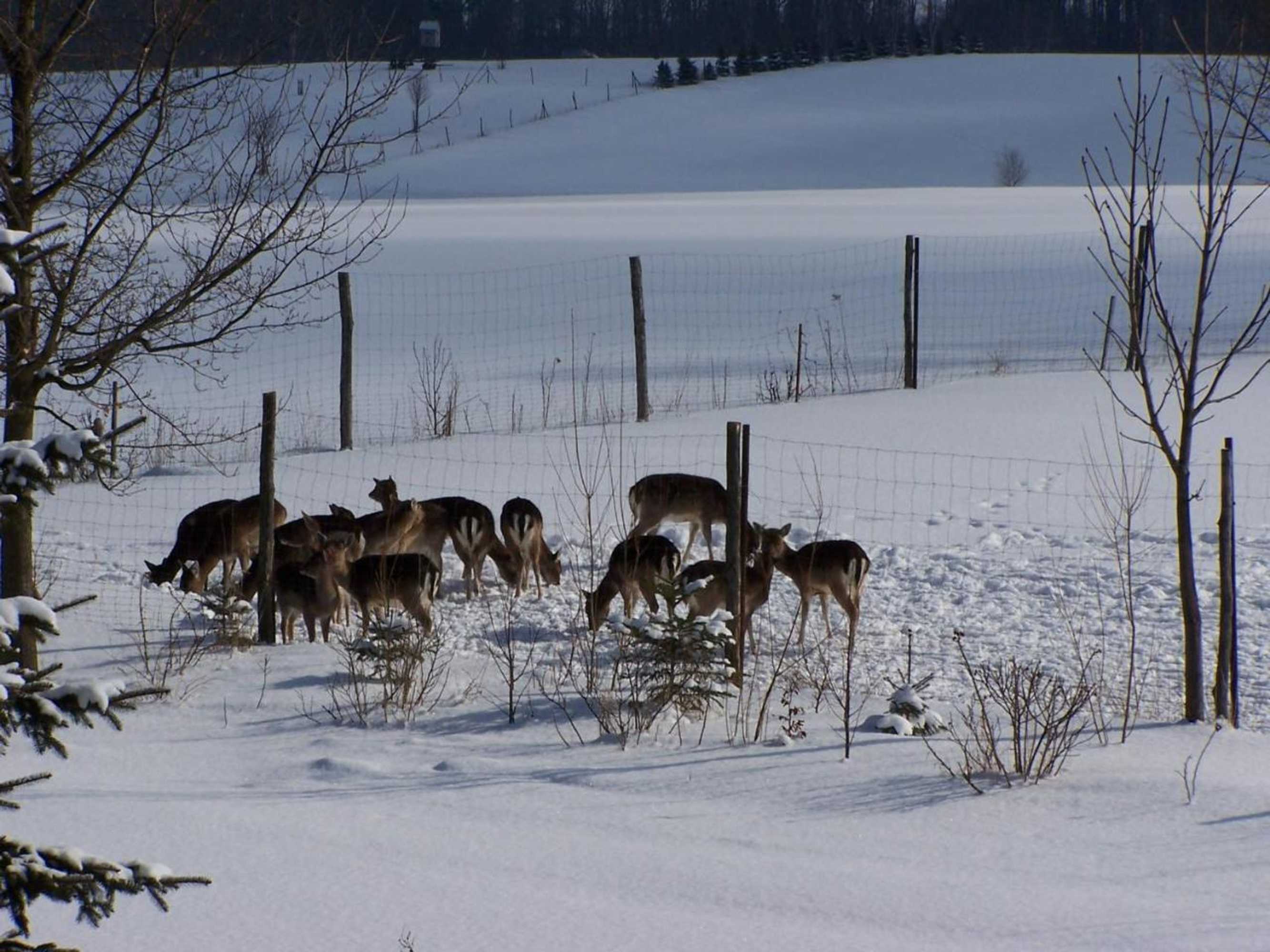 Gift card for Abendroth