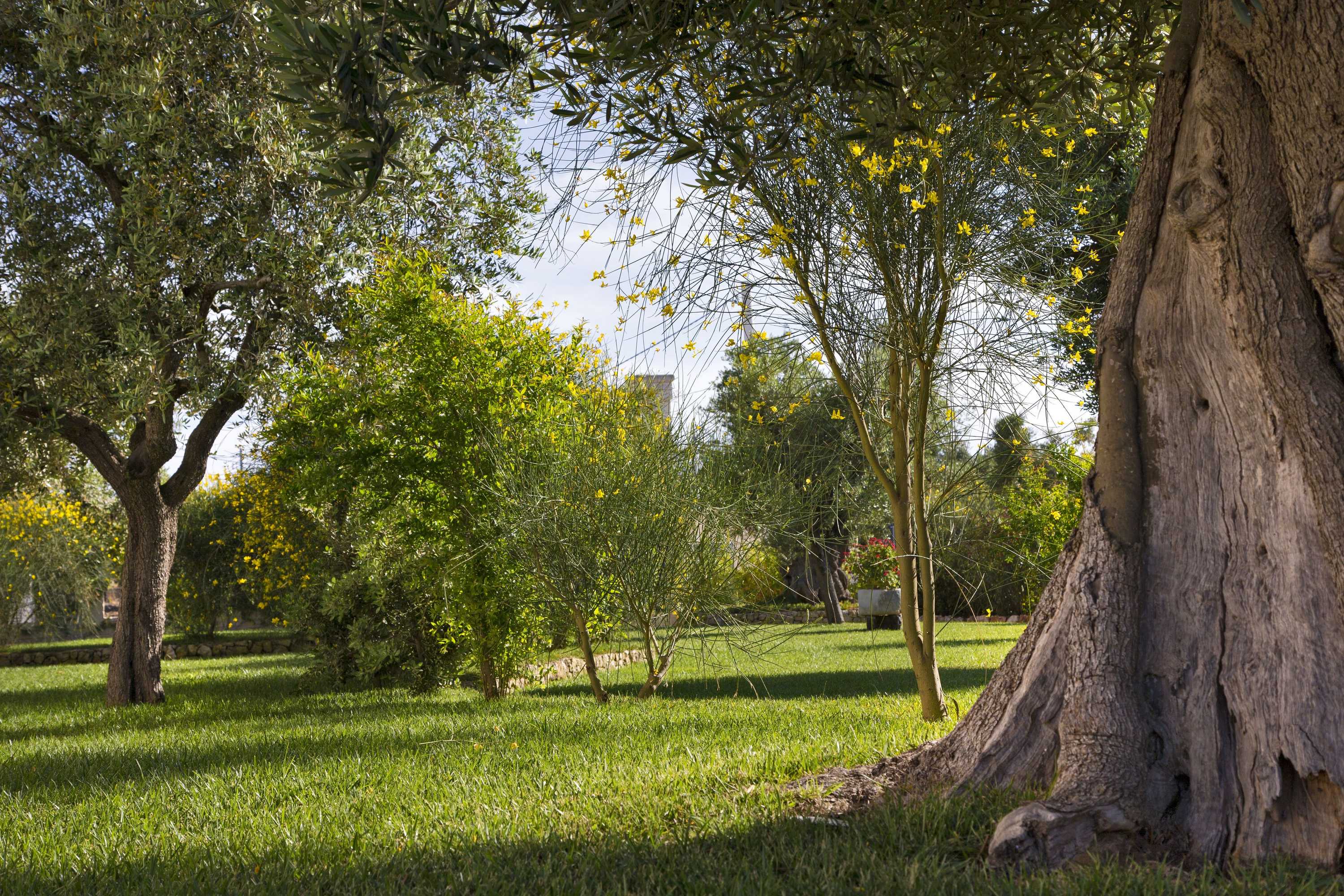 Gift card for Relais Masseria Caselli Gift card for Relais Masseria Caselli