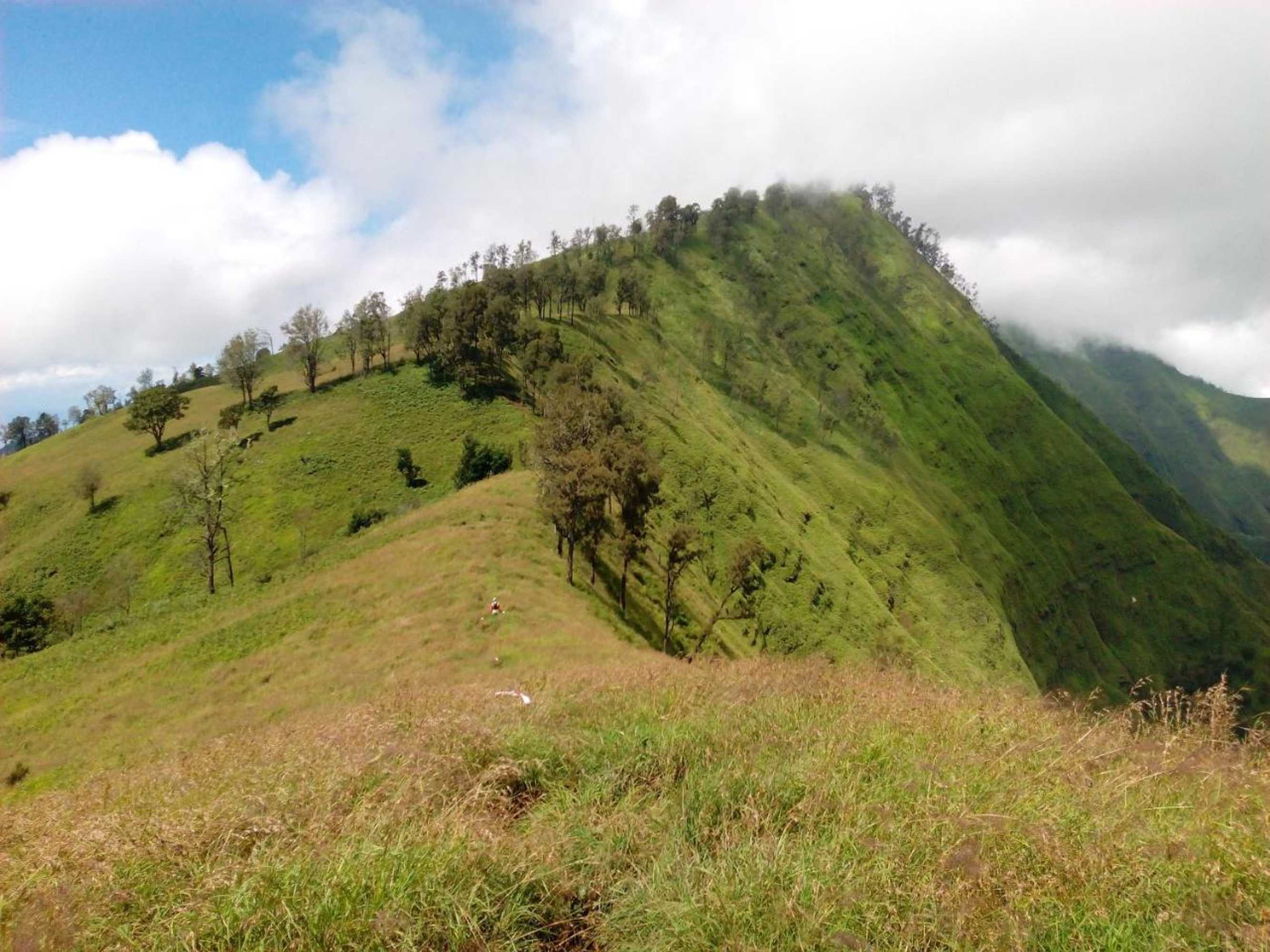 Gift card for Radiya Guesthouse