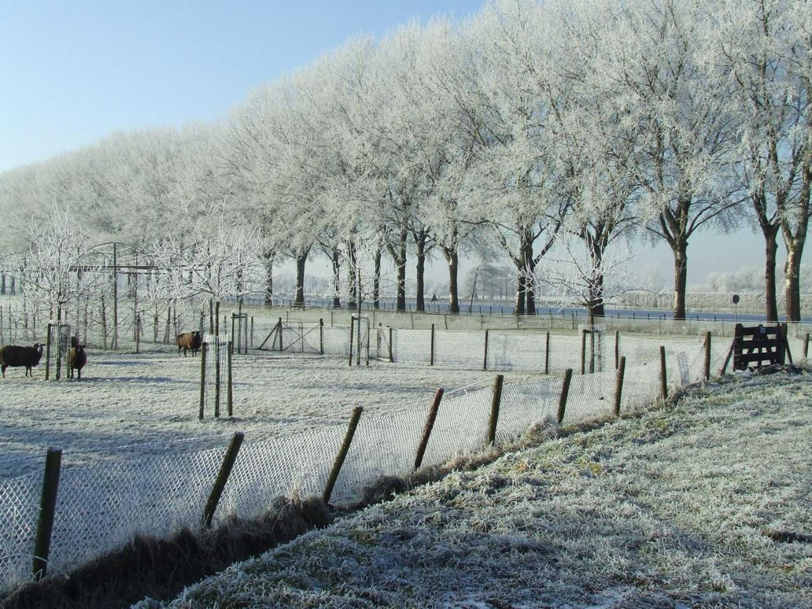 Gift card for Het Pelikaantje