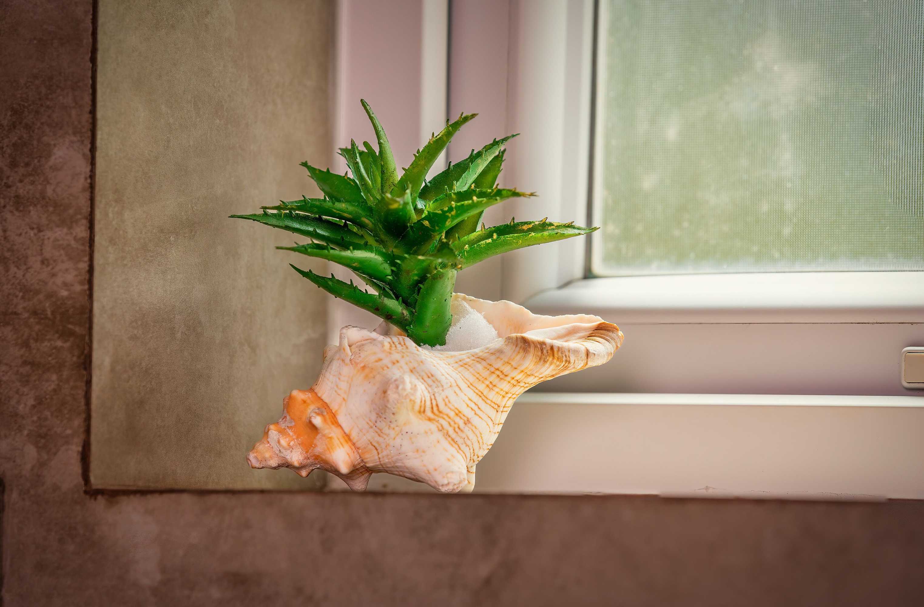 Gift card for The Palace by Ocean