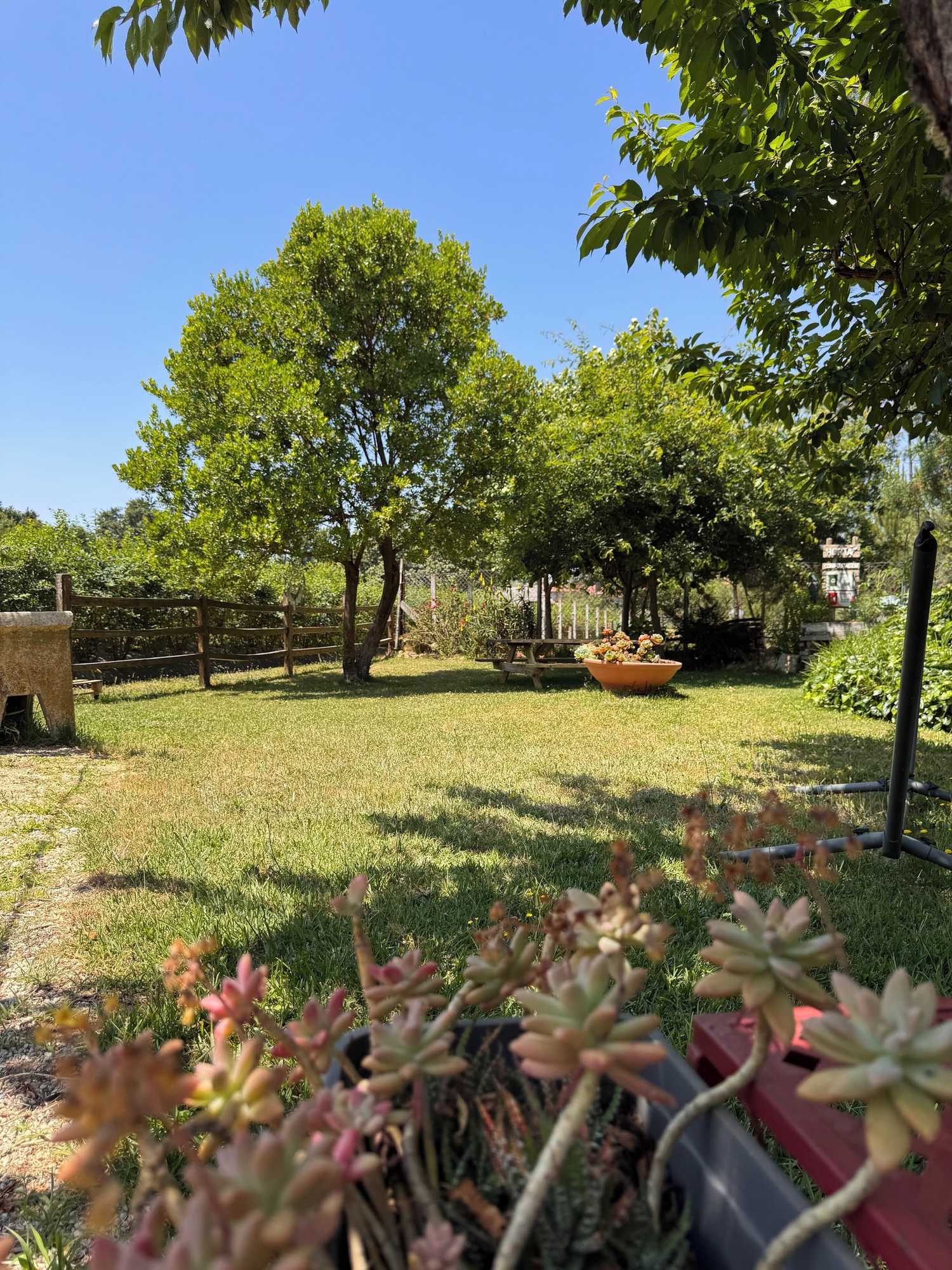 Gift card for Quinta Vale Salgueiro