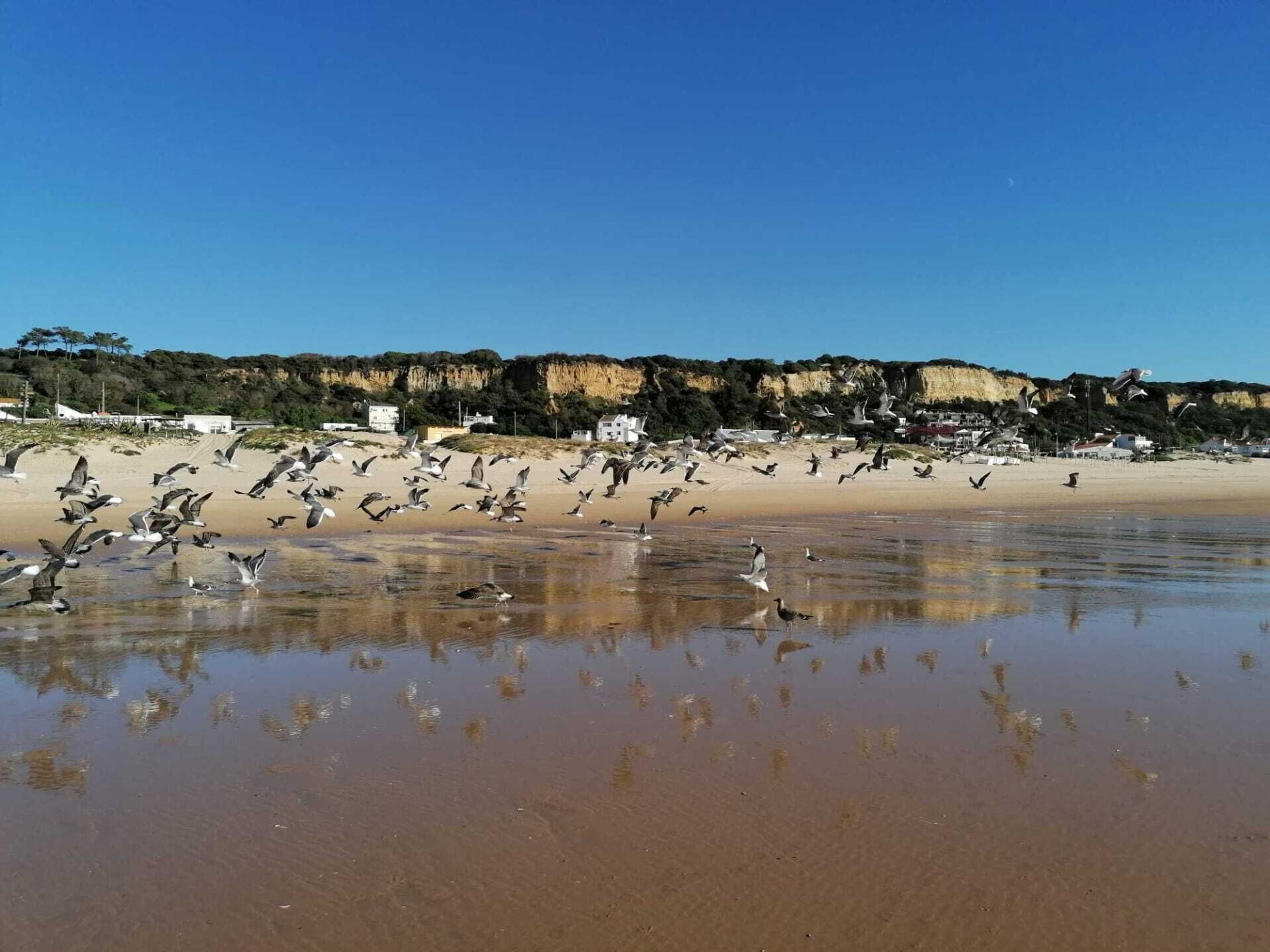 Gift card for Fonte da Telha Beach Hostel