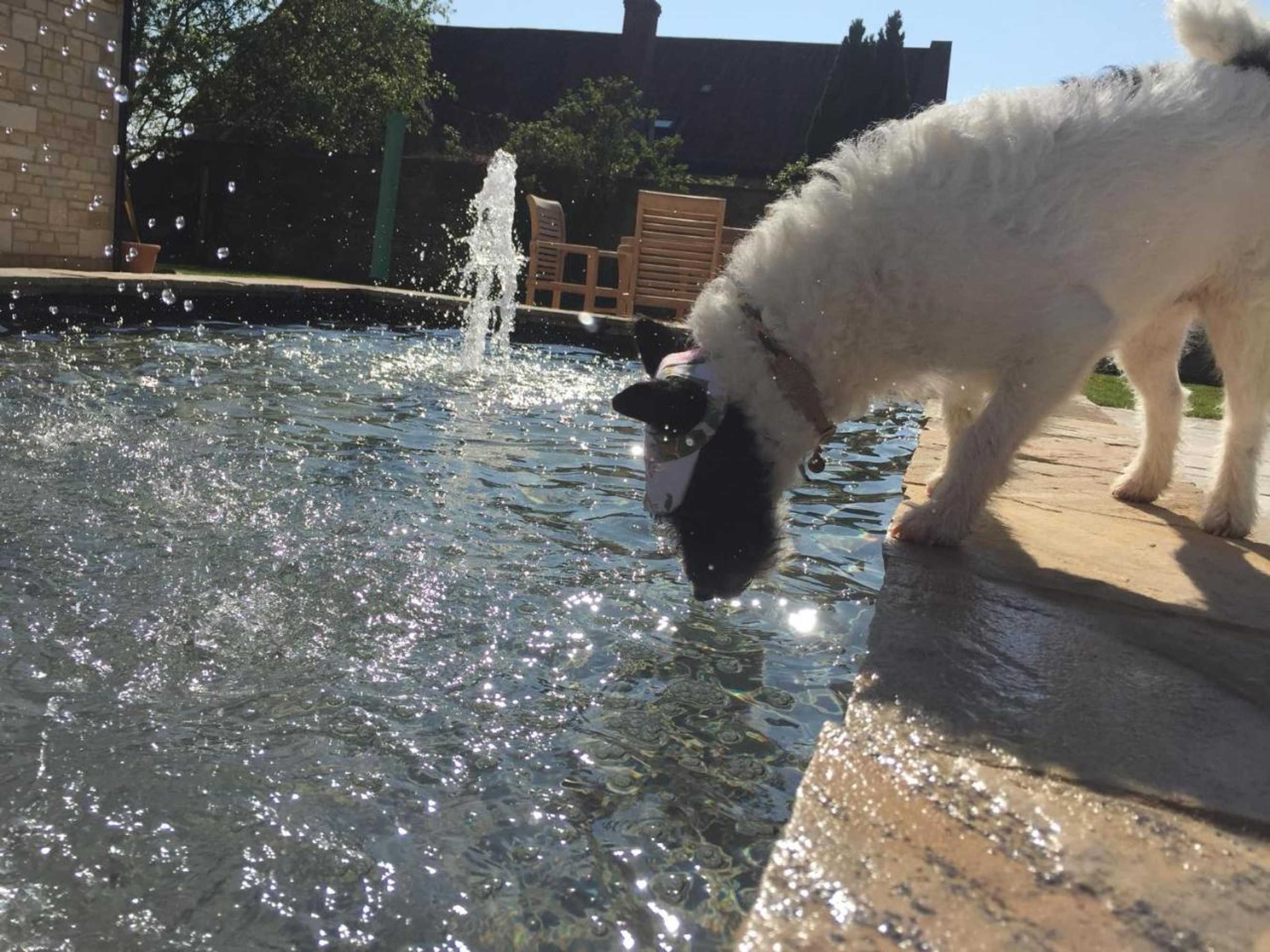 Gift card for The Winning Post, Bruton