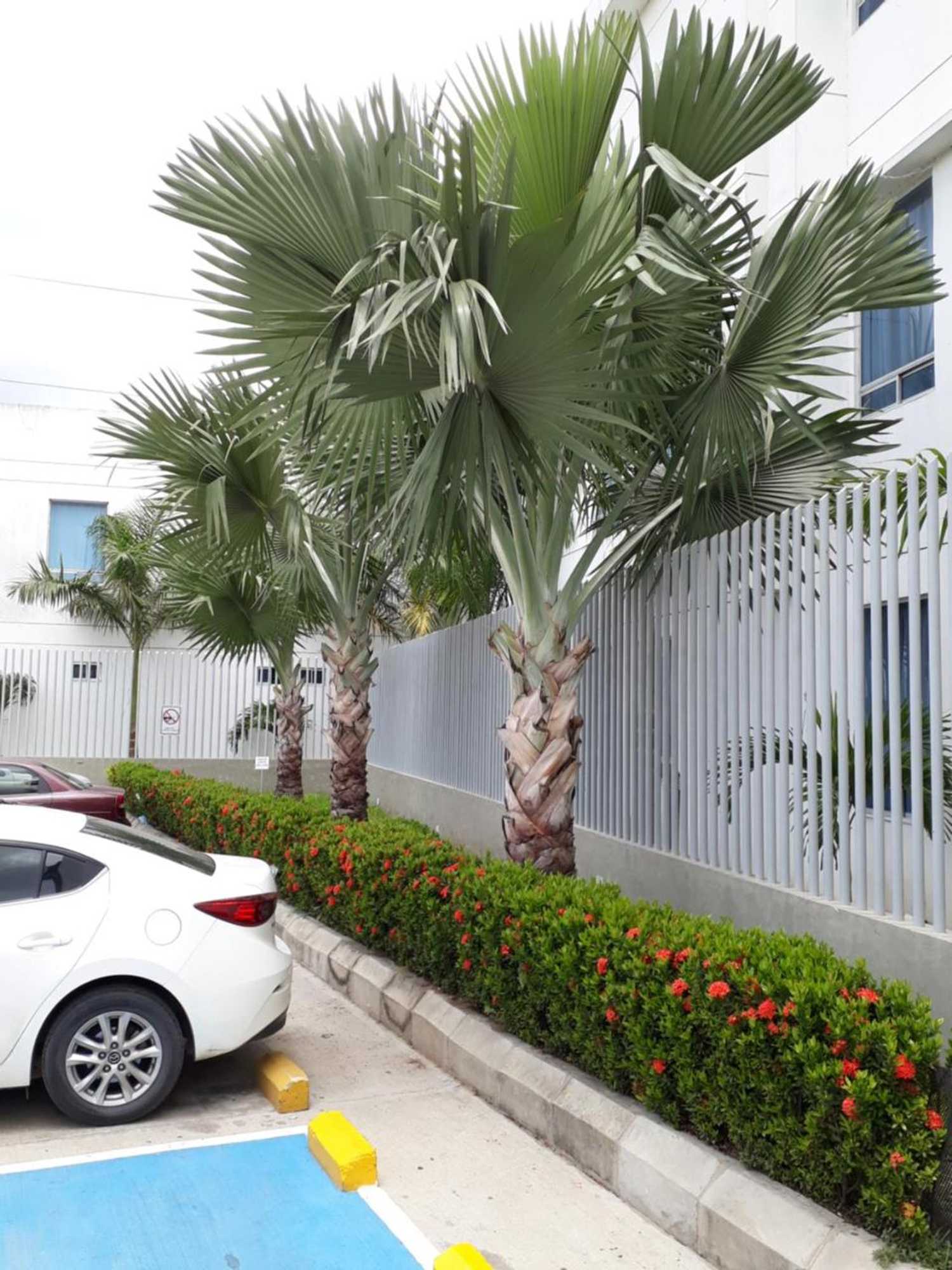 Gift card for Hotel Las Olas Malambo