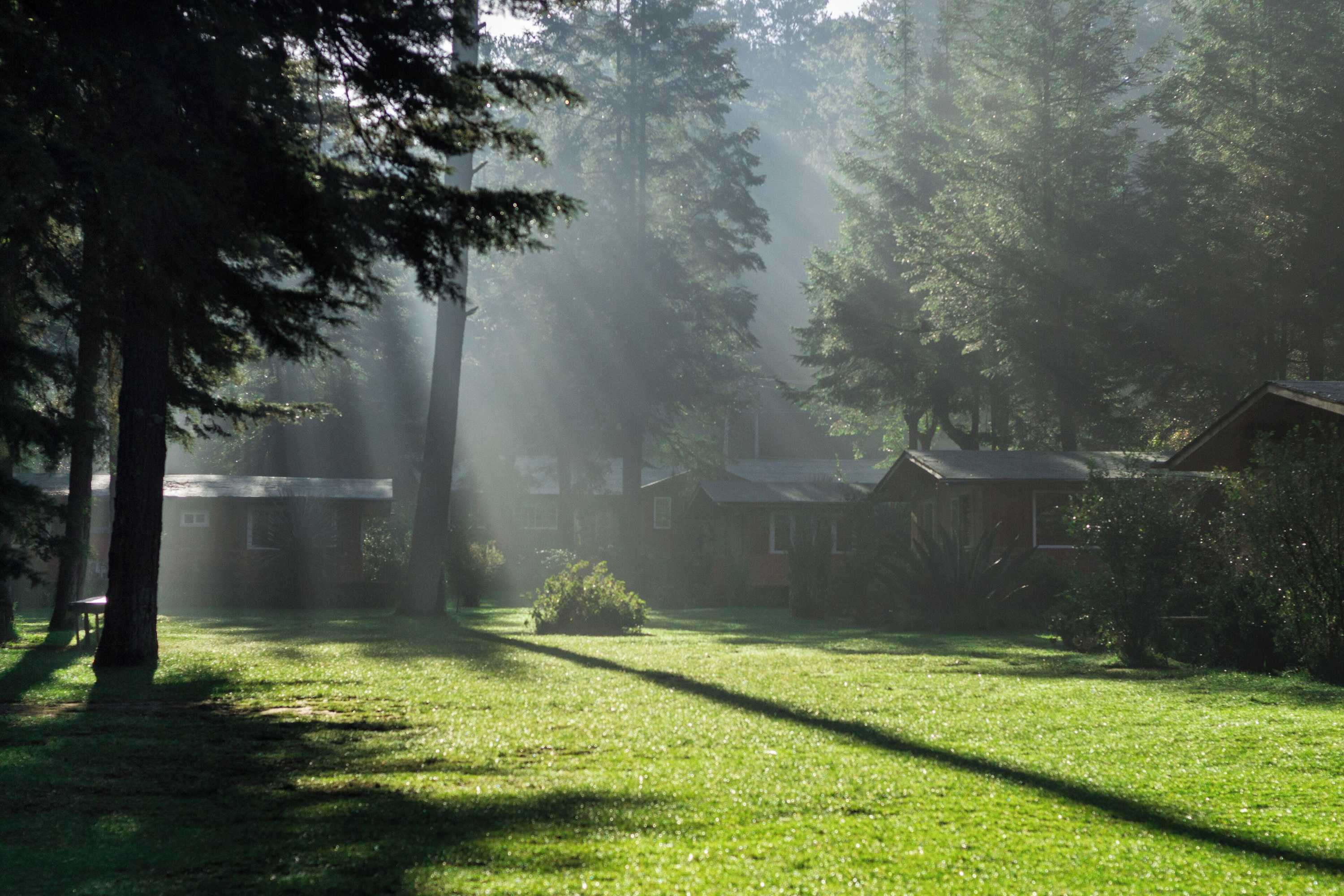 Gift card for Rancho Viejo