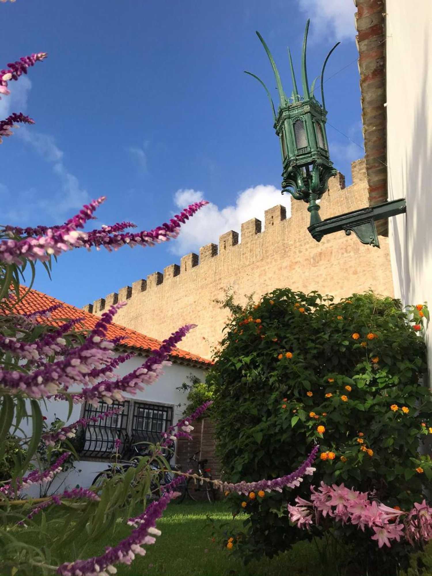 Gift card for Casa Picva