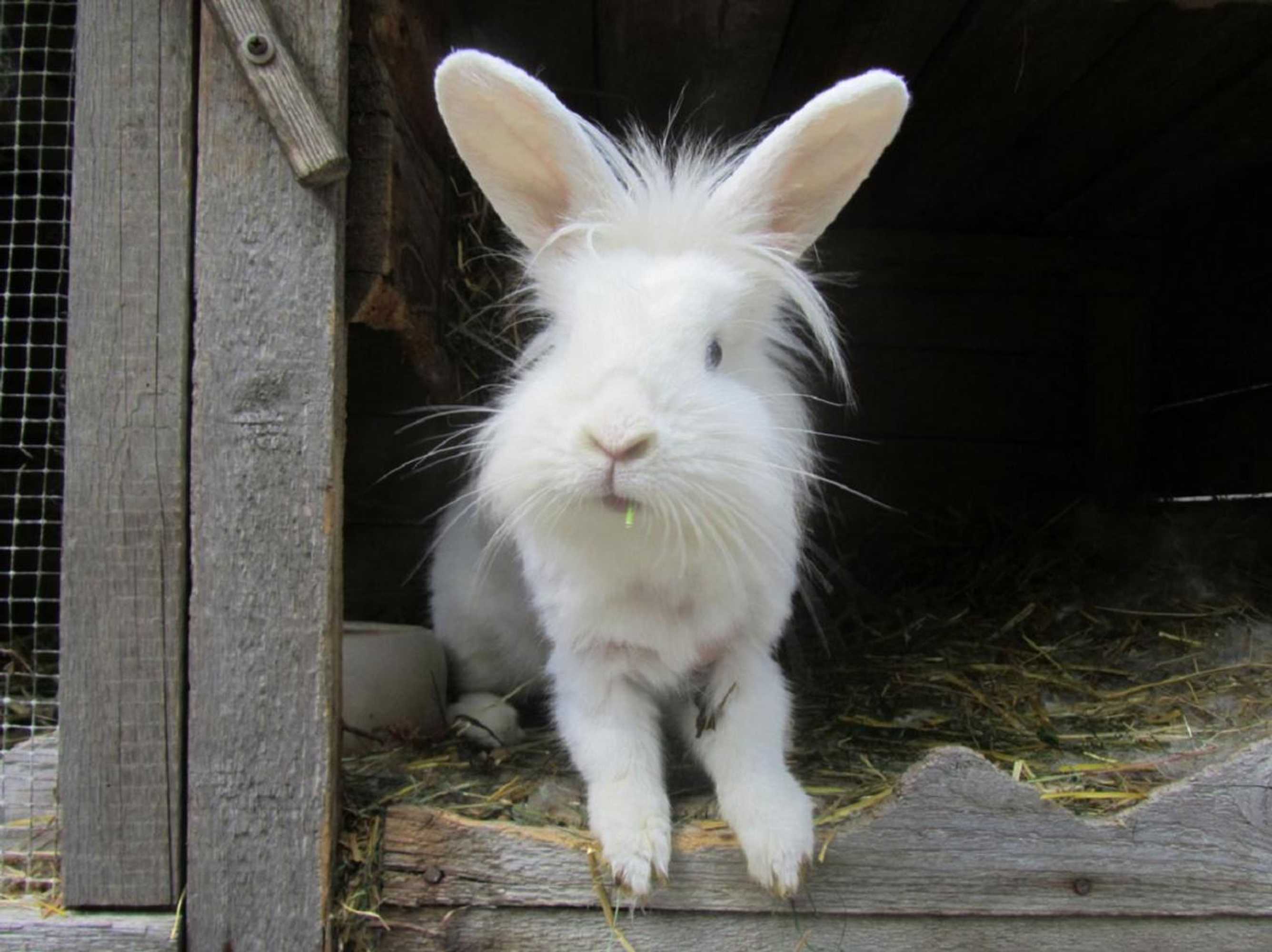 Gift card for Bio Ferienhof Erzengel