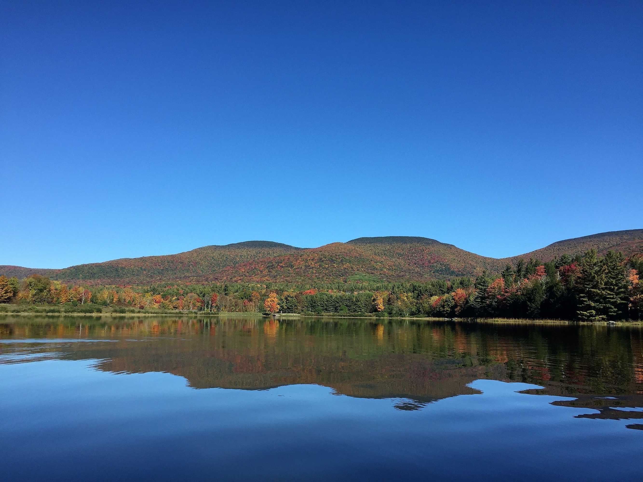 Gift card for Hotel Vienna