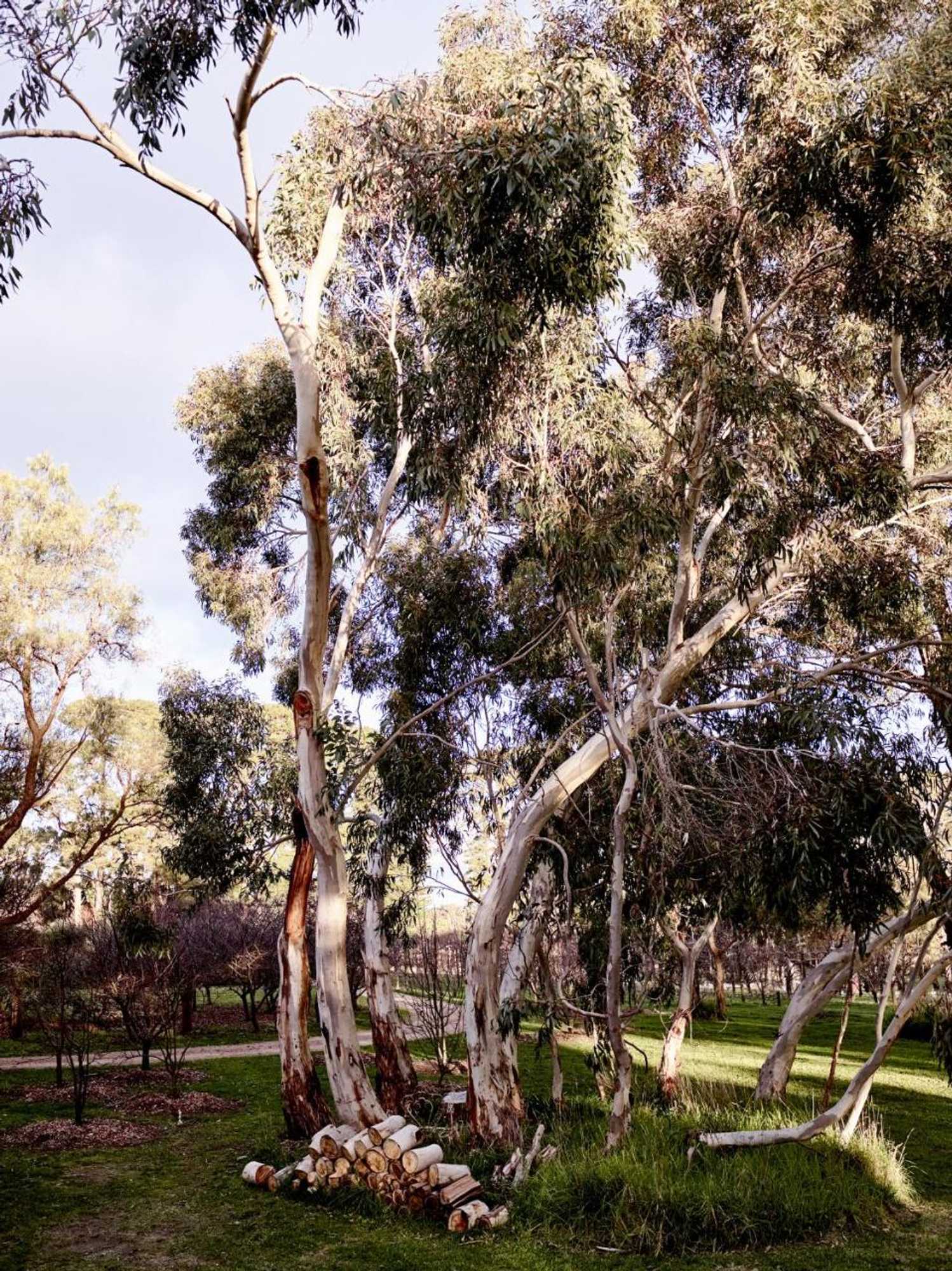 Gift card for Hart's Farm