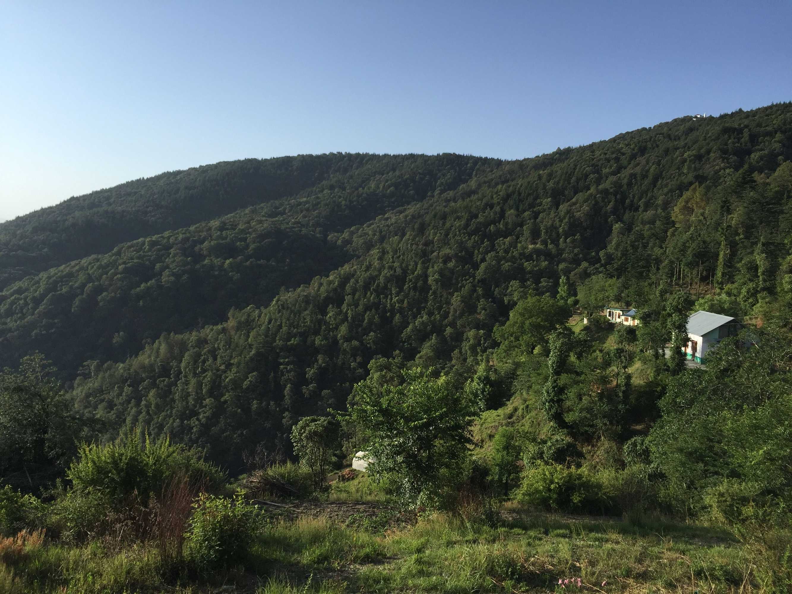 Gift card for The Ayali Fernhill Resort, Chail Gift card for The Ayali Fernhill Resort, Chail