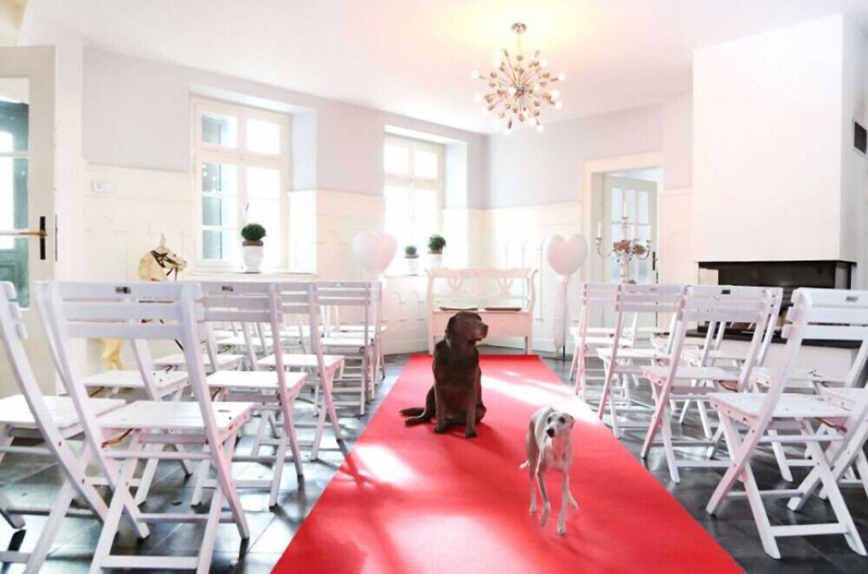 Gift card for Gut Hohenholz