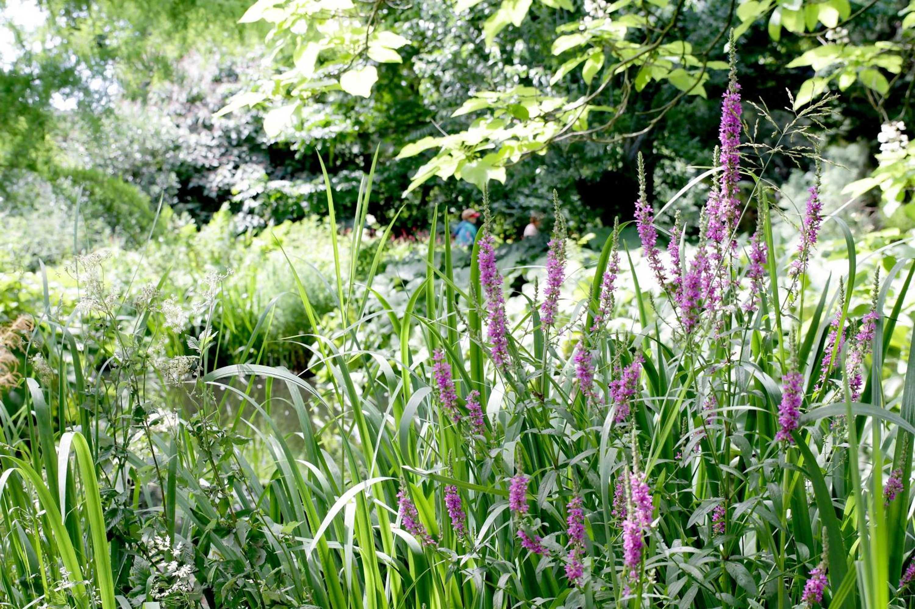 Gift card for Hotel Restaurant Koekenbier Abcoude