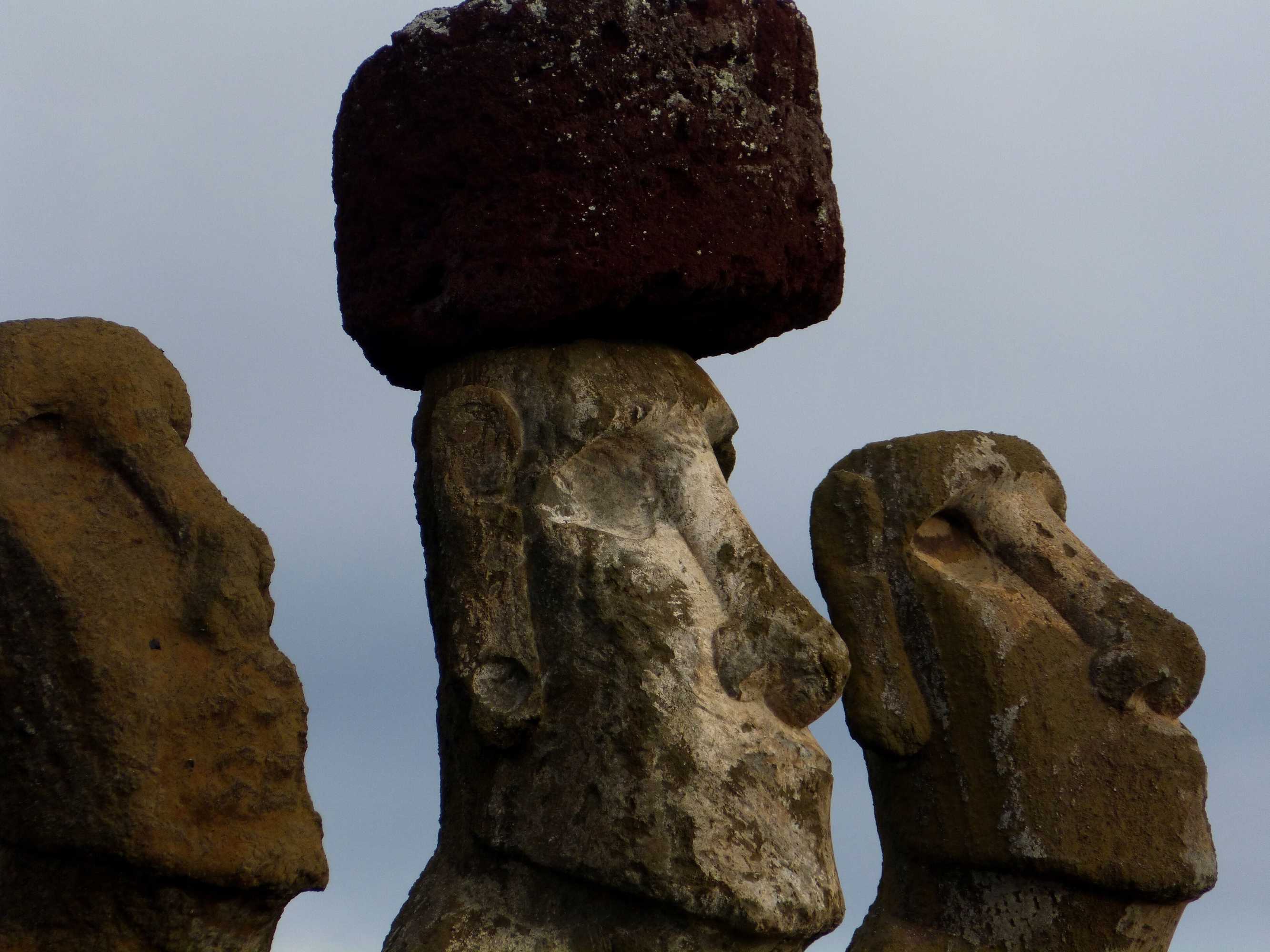 Gift card for Cabañas Te Maori