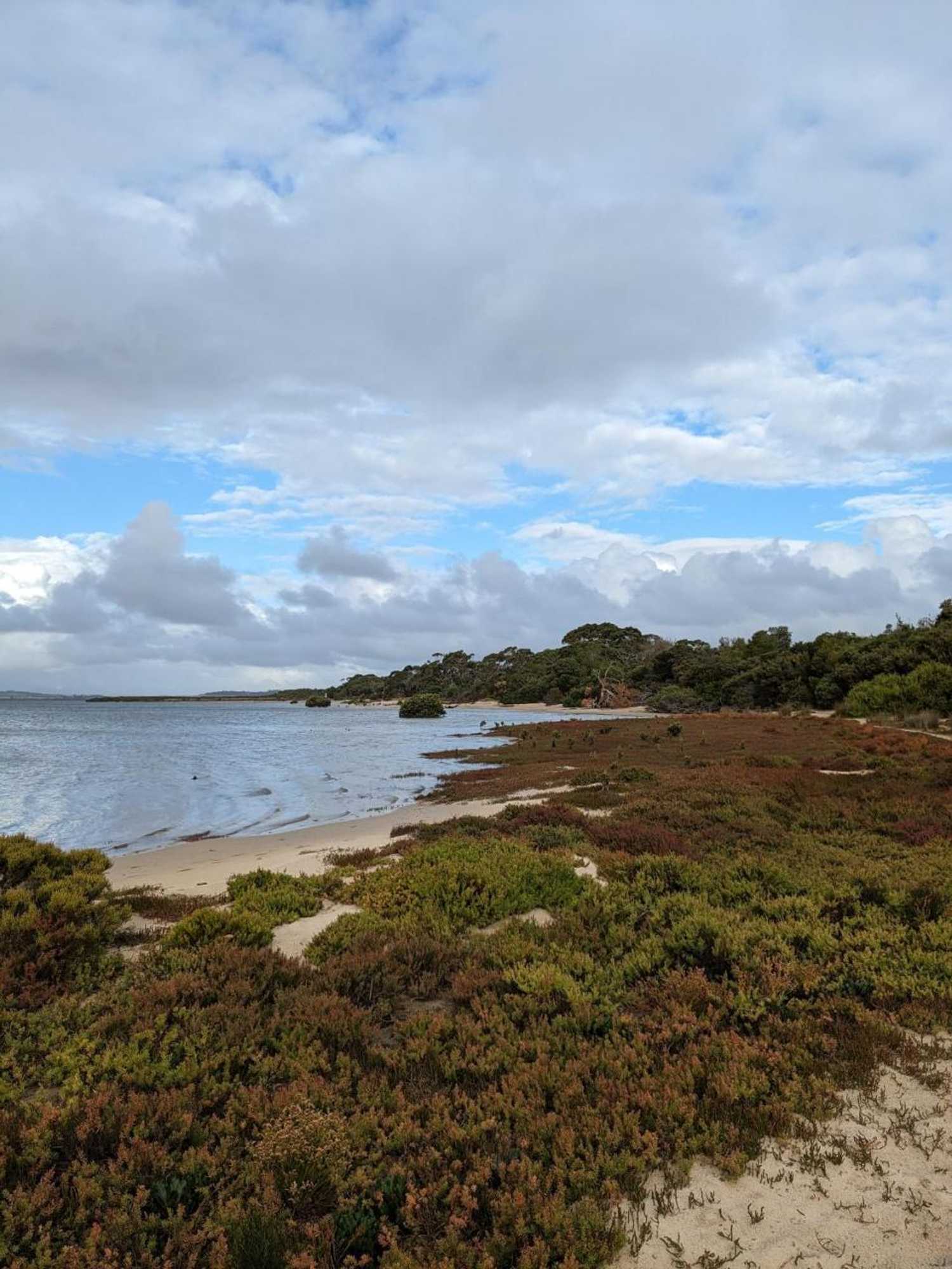 Gift card for River Drive Motel