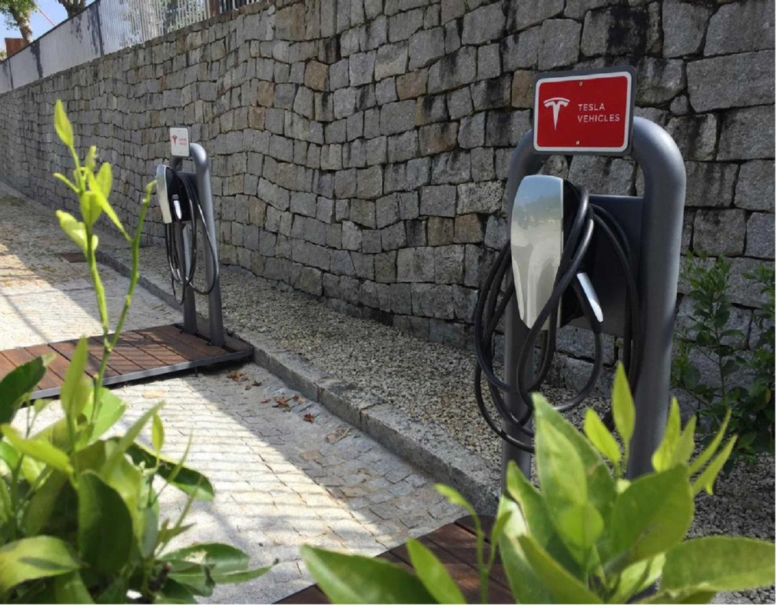 Gift card for Quinta do Fontelo