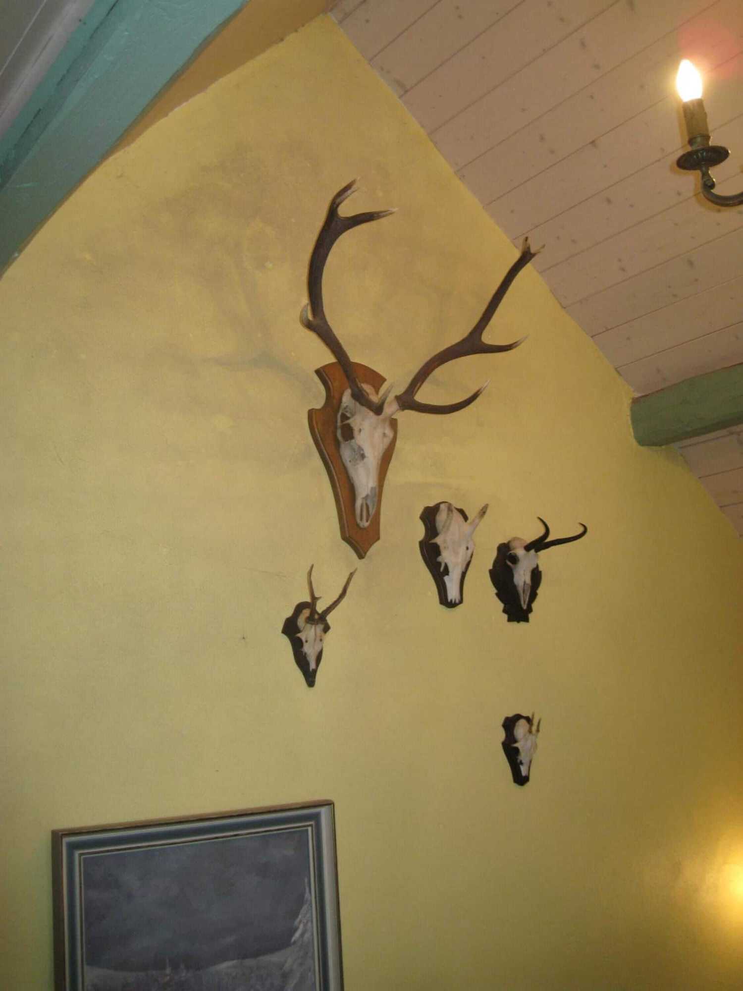 Gift card for Romantikmühle Heartlandranch