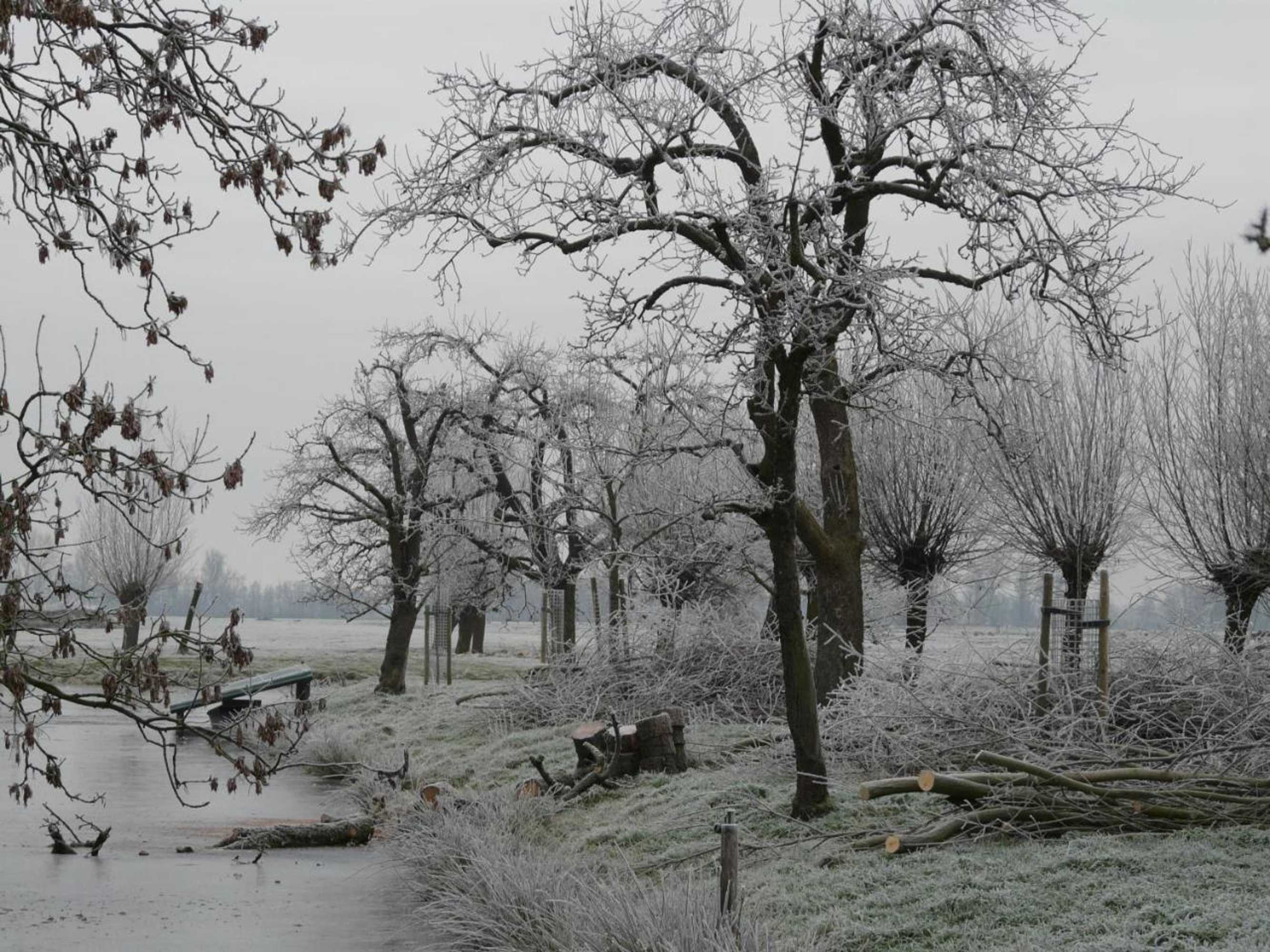 Gift card for De Boomgaard Groene Hart