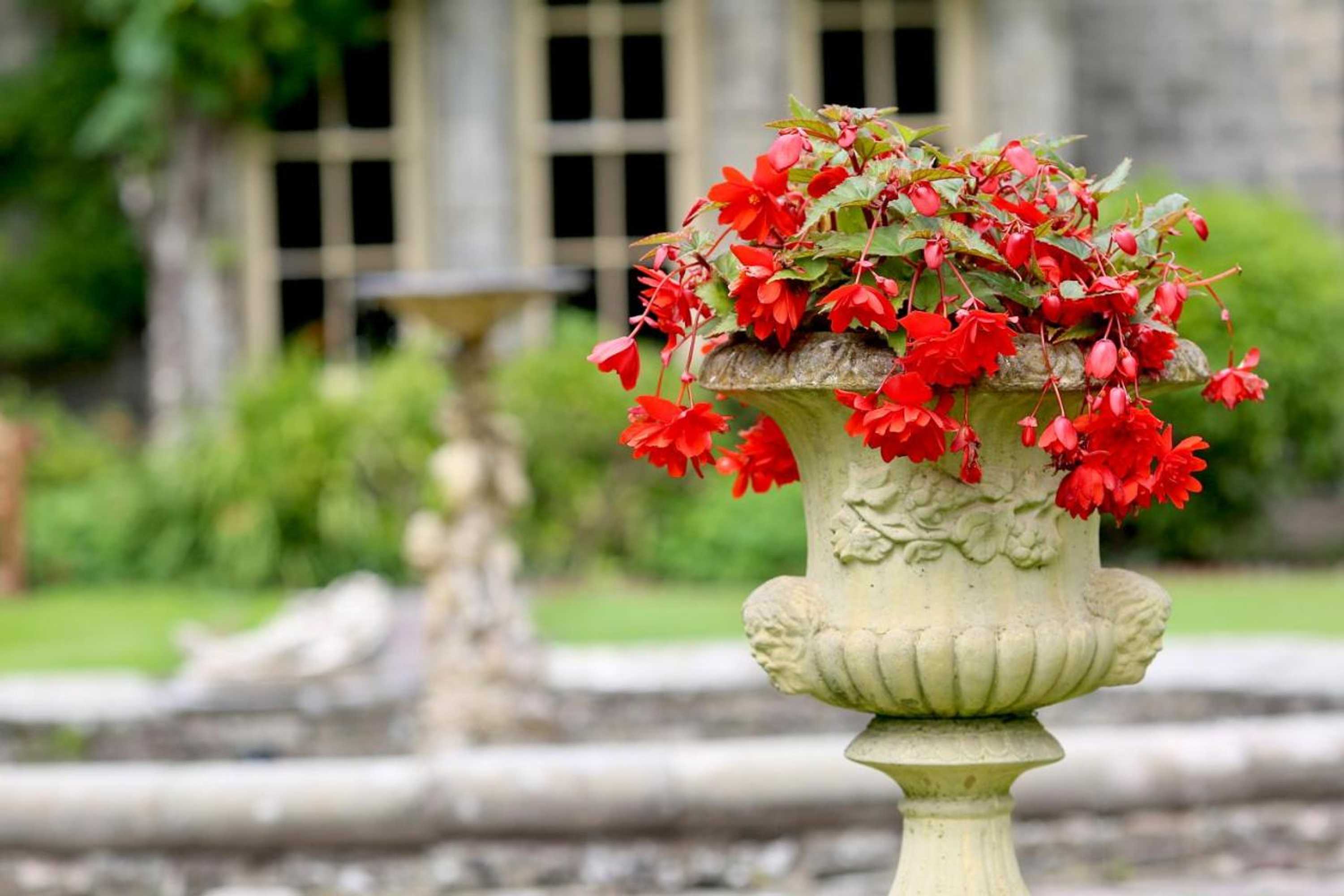 Gift card for Llangattock Park House