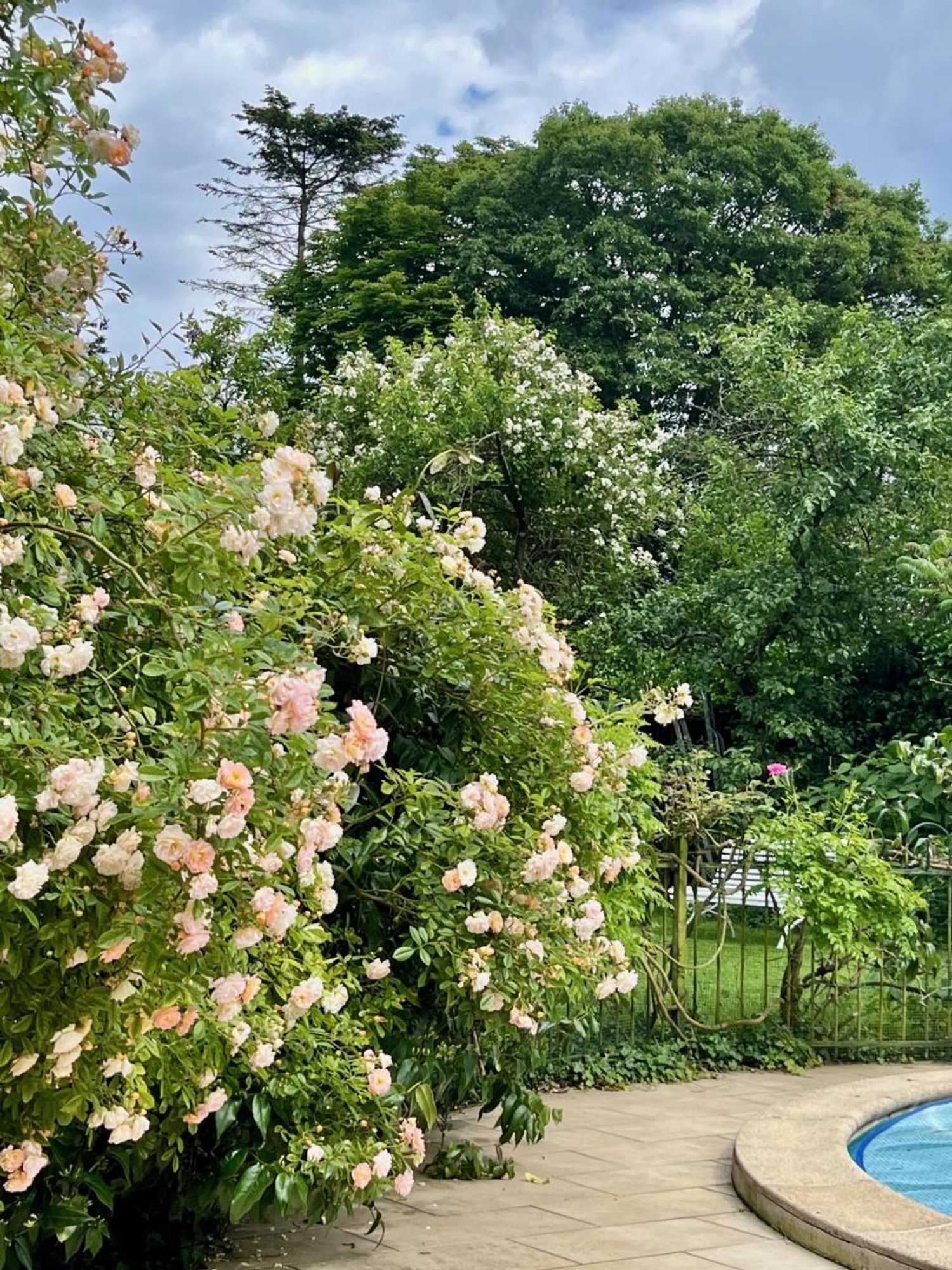 Gift card for The Pool House