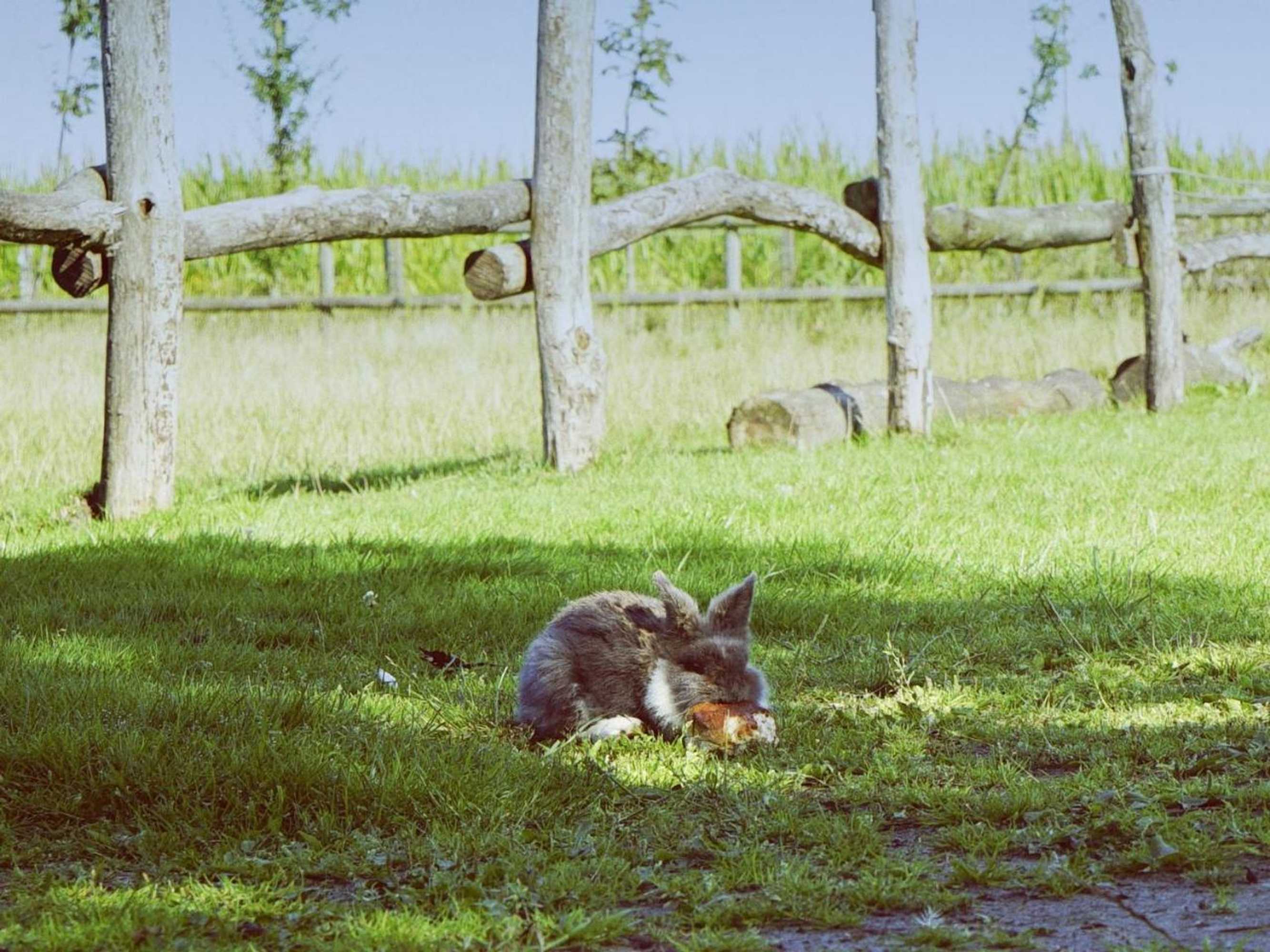 Gift card for De Lieshoeve