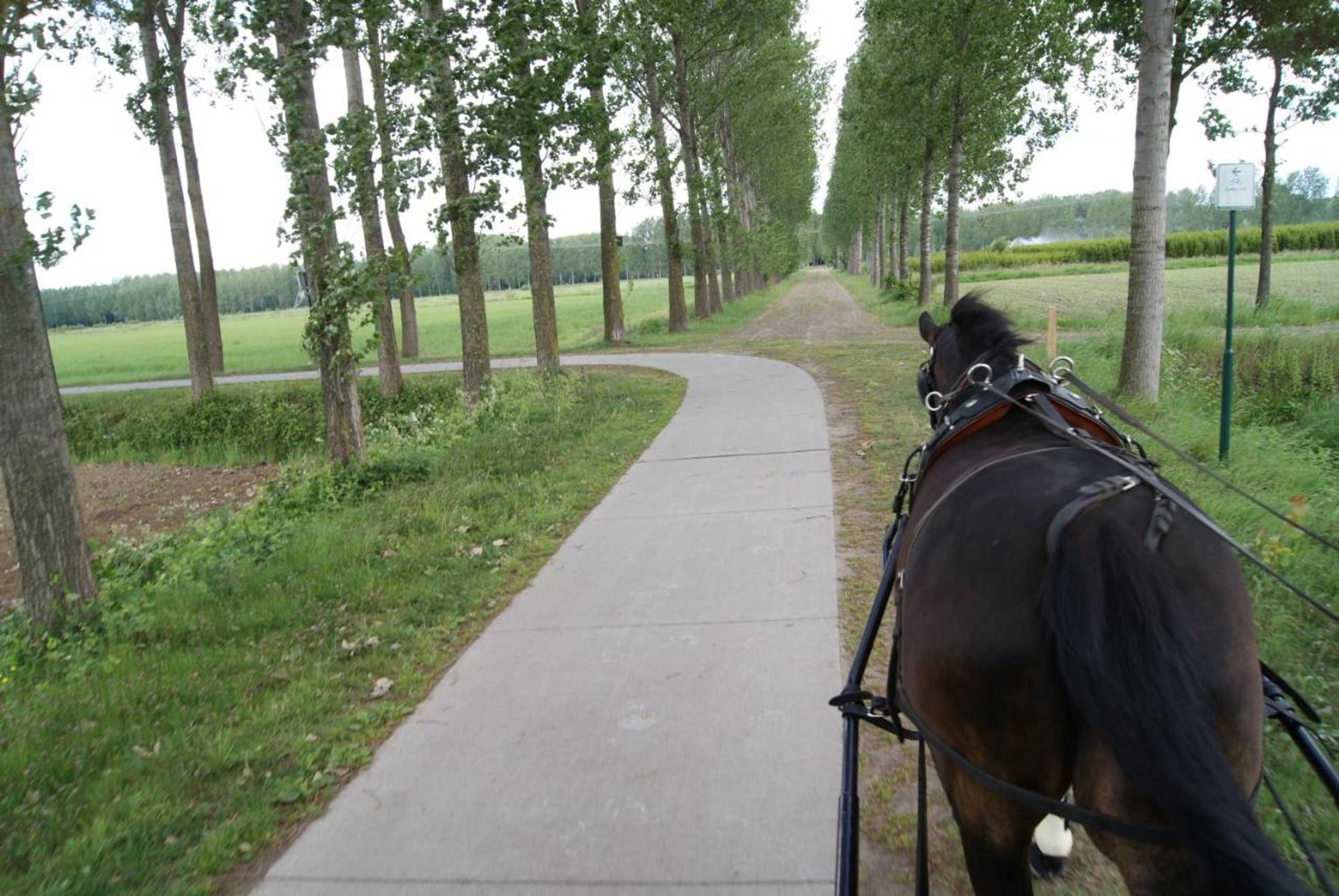 Gift card for Weibos Bed & Breakfast