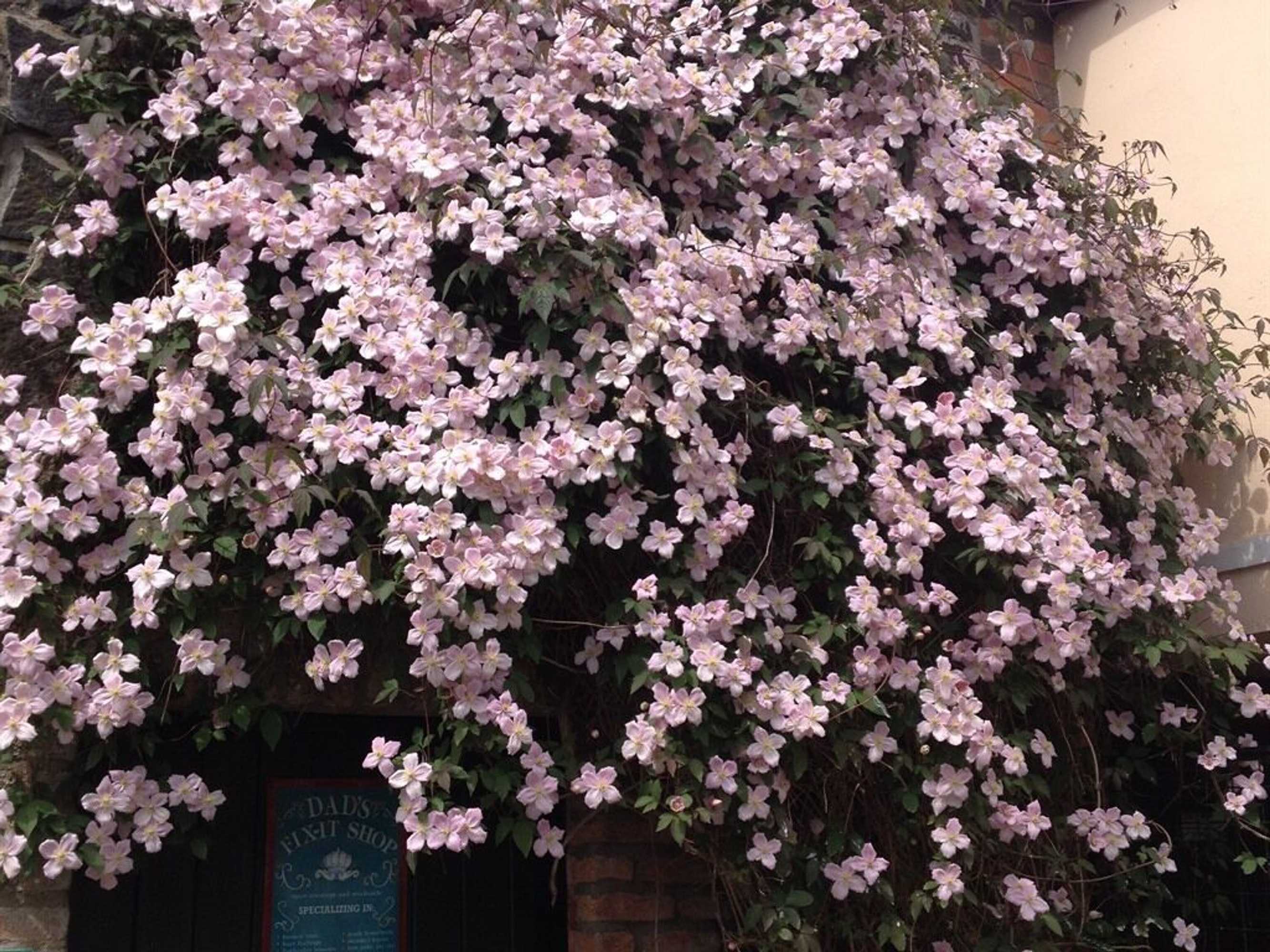 Gift card for Lisnafillan Lodge