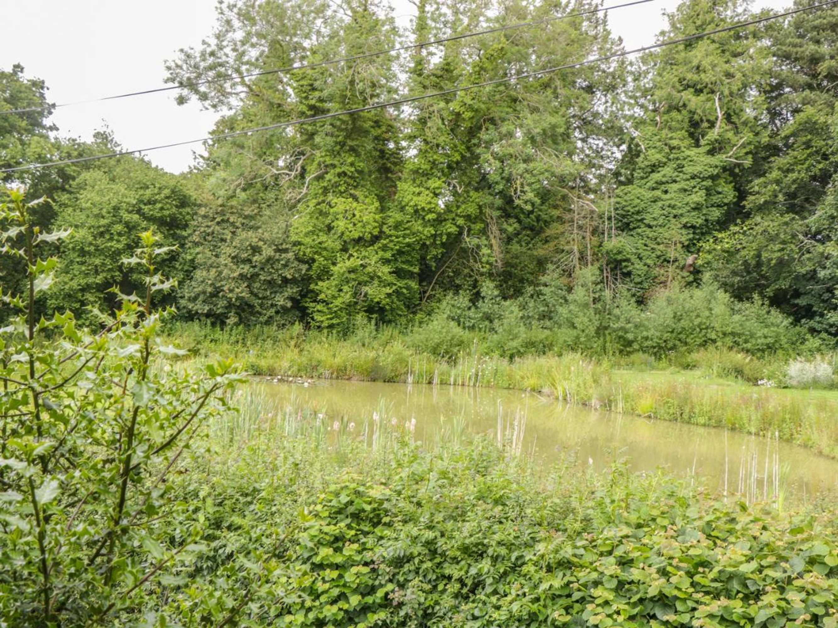 Gift card for Apple Tree Cottage