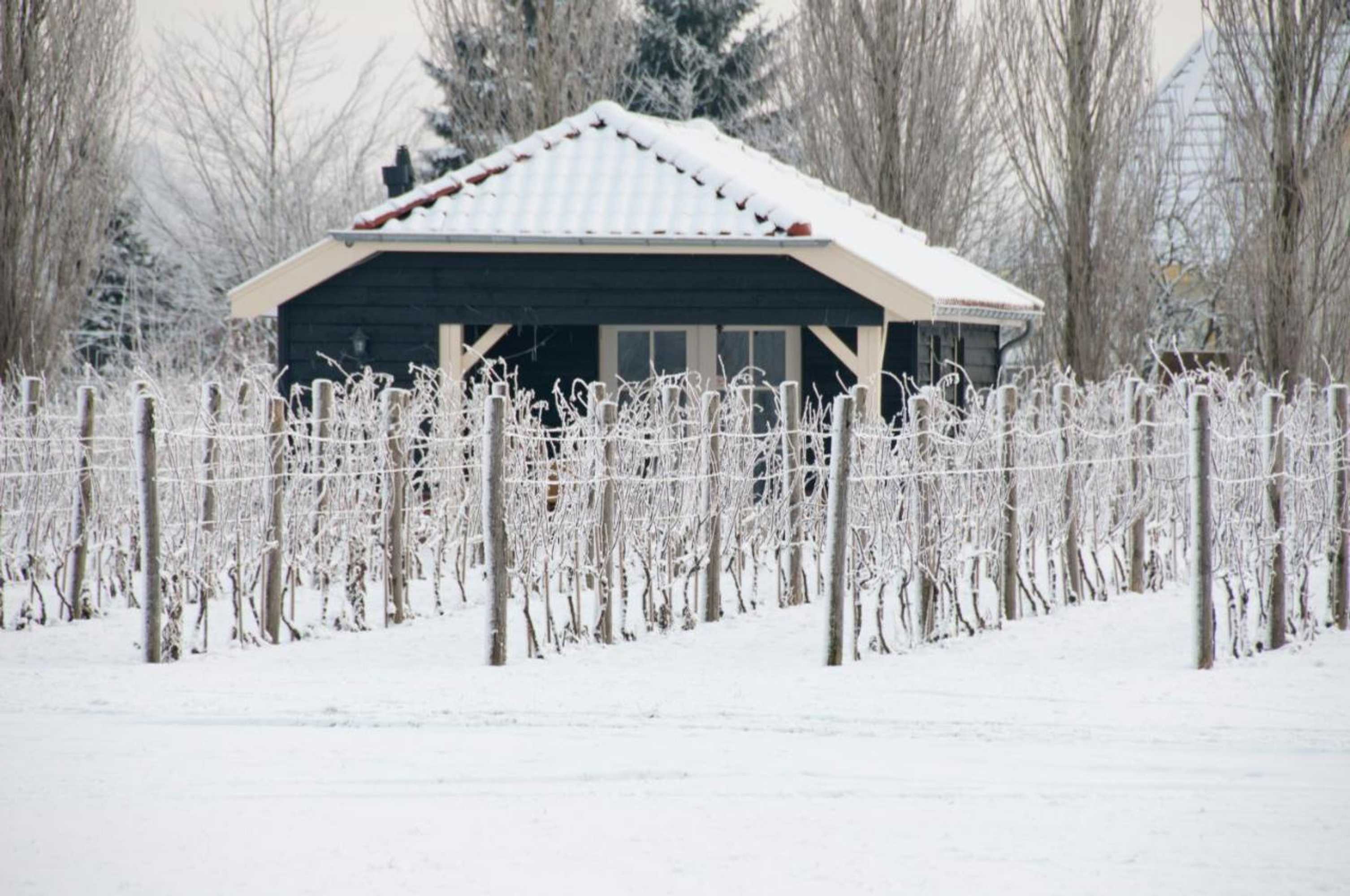 Gift card for Park Nieuwgrapendaal