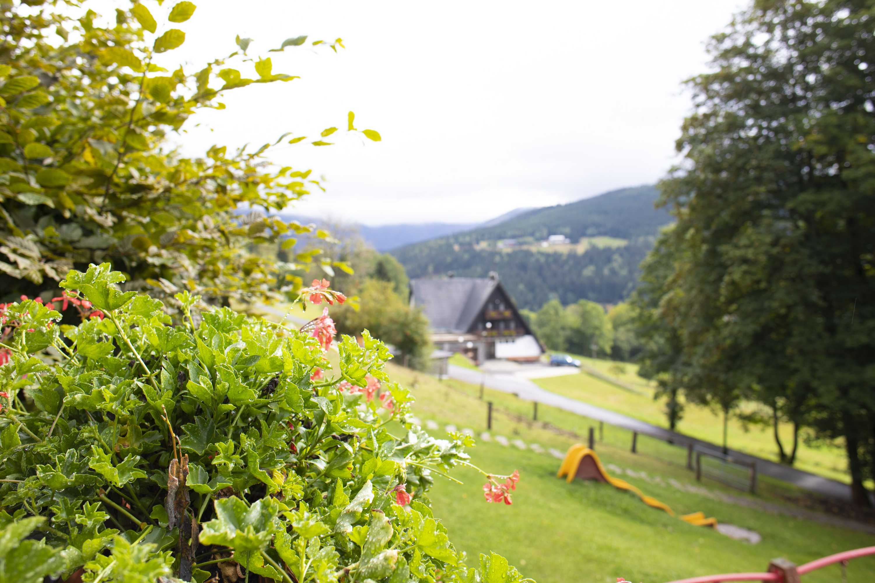Gift card for Amenity Hotel & Resort Špindlerův Mlýn Gift card for Amenity Hotel & Resort Špindlerův Mlýn