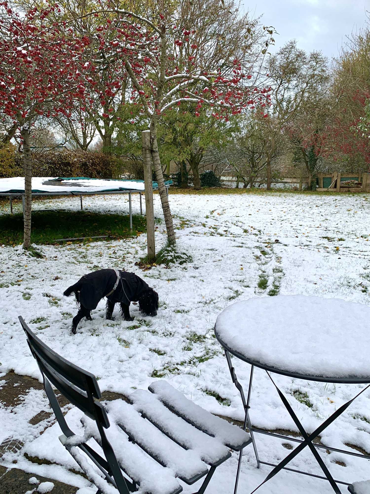 Gift card for Garden Barn