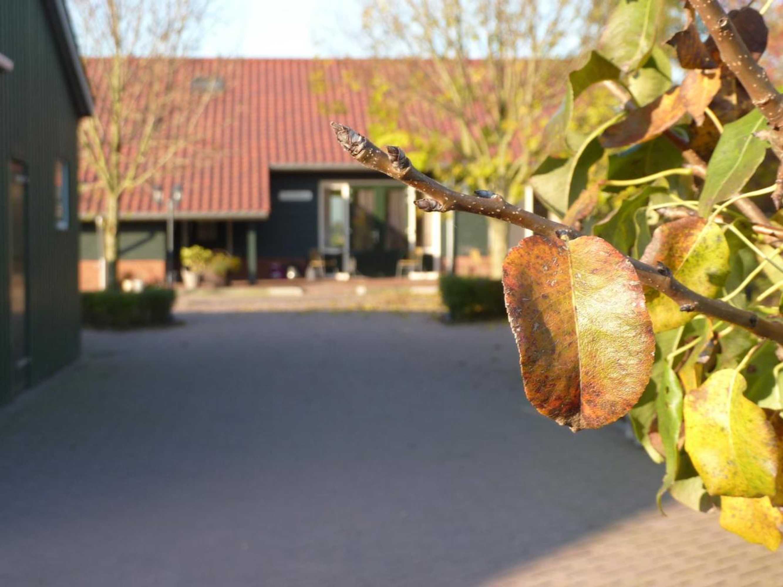 Gift card for Boerderij 